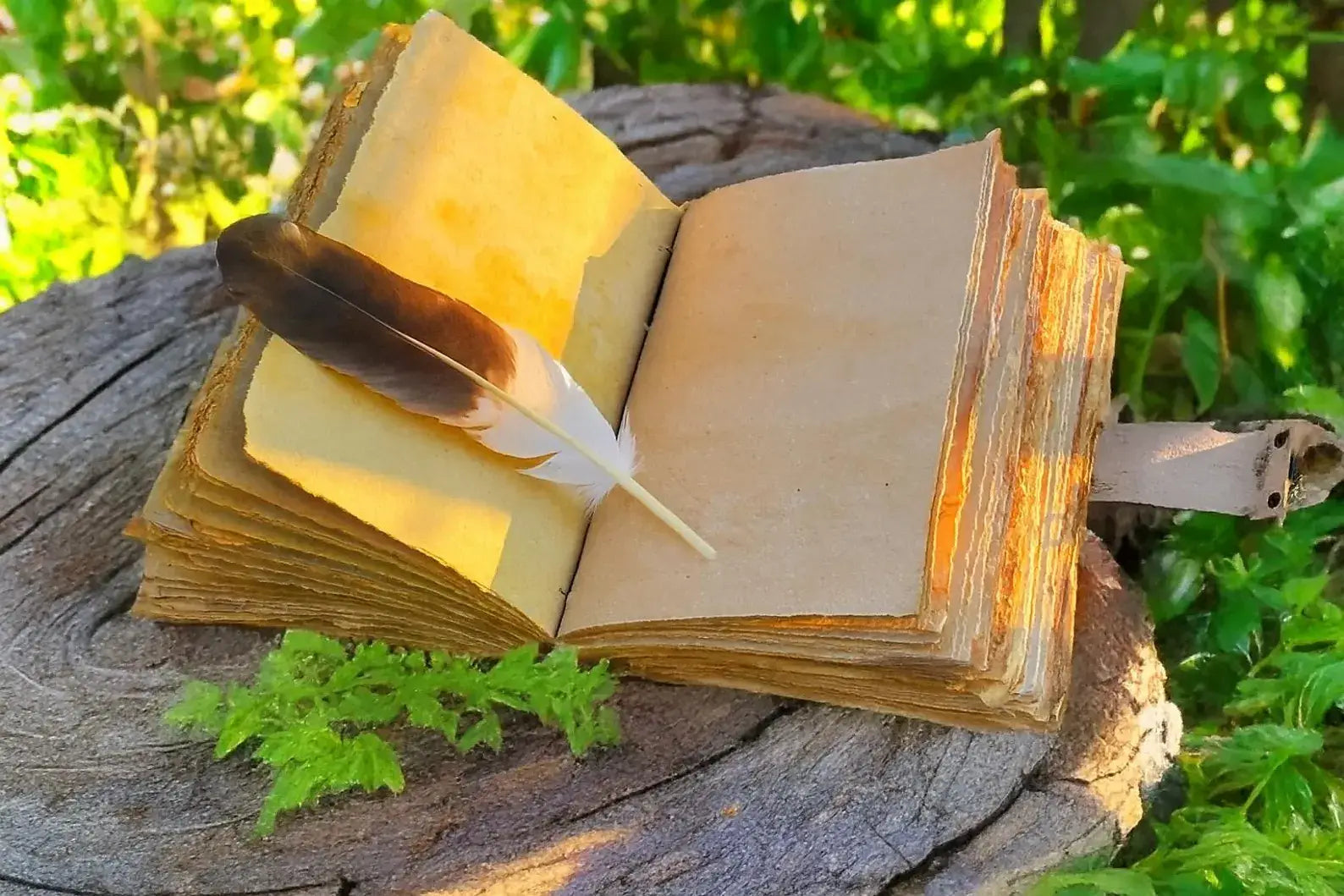 Journals & Notebooks