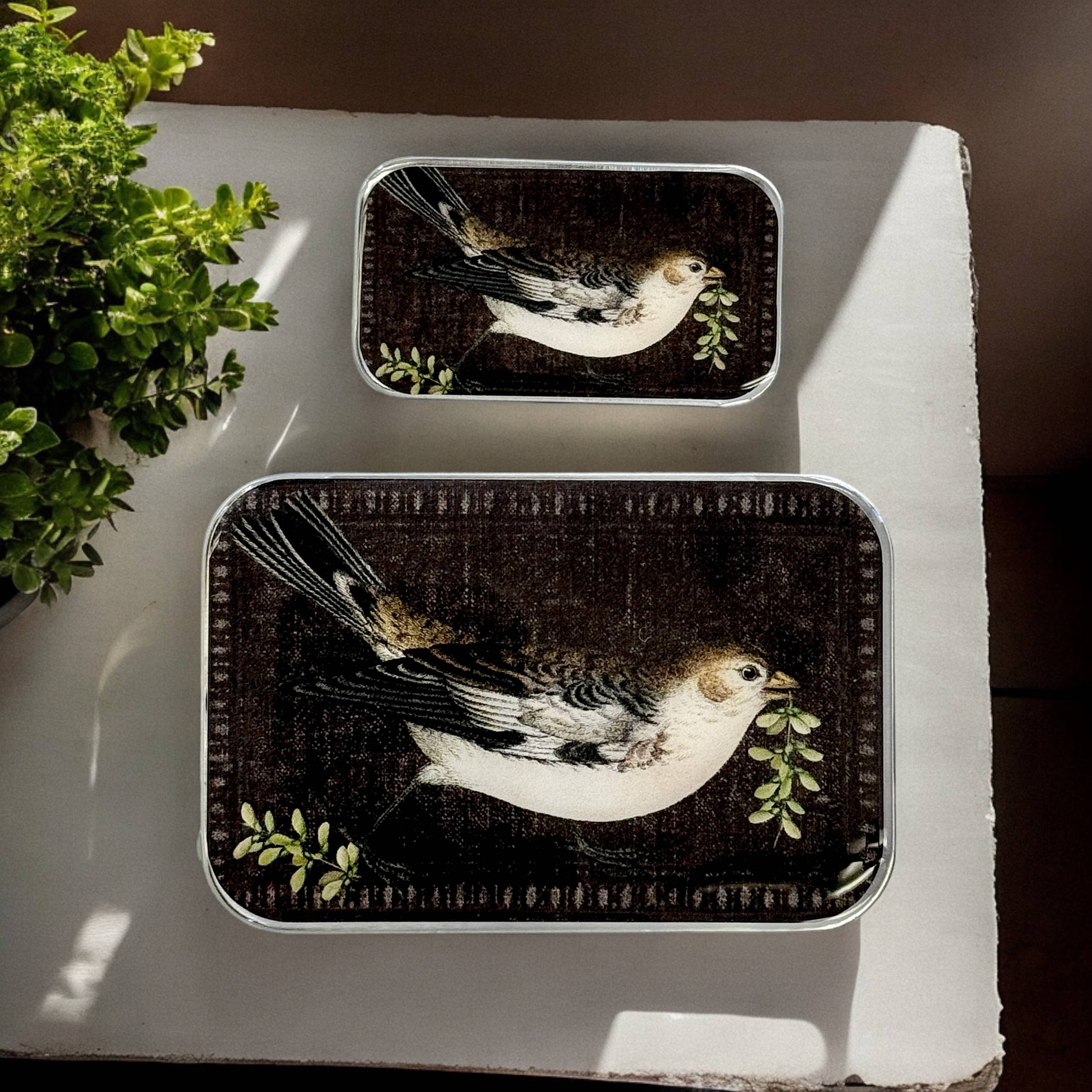 Birdsong Notions Tin - Out of the Blue