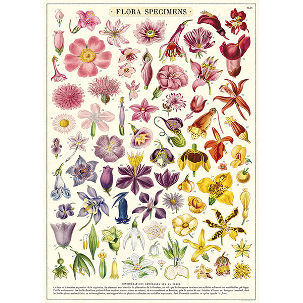 Flora Speciman Wrap - Out of the Blue