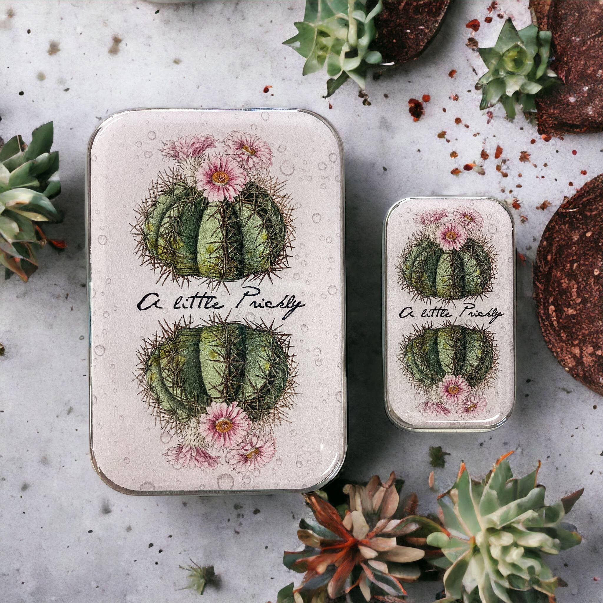 Cactus notions tin - Out of the Blue