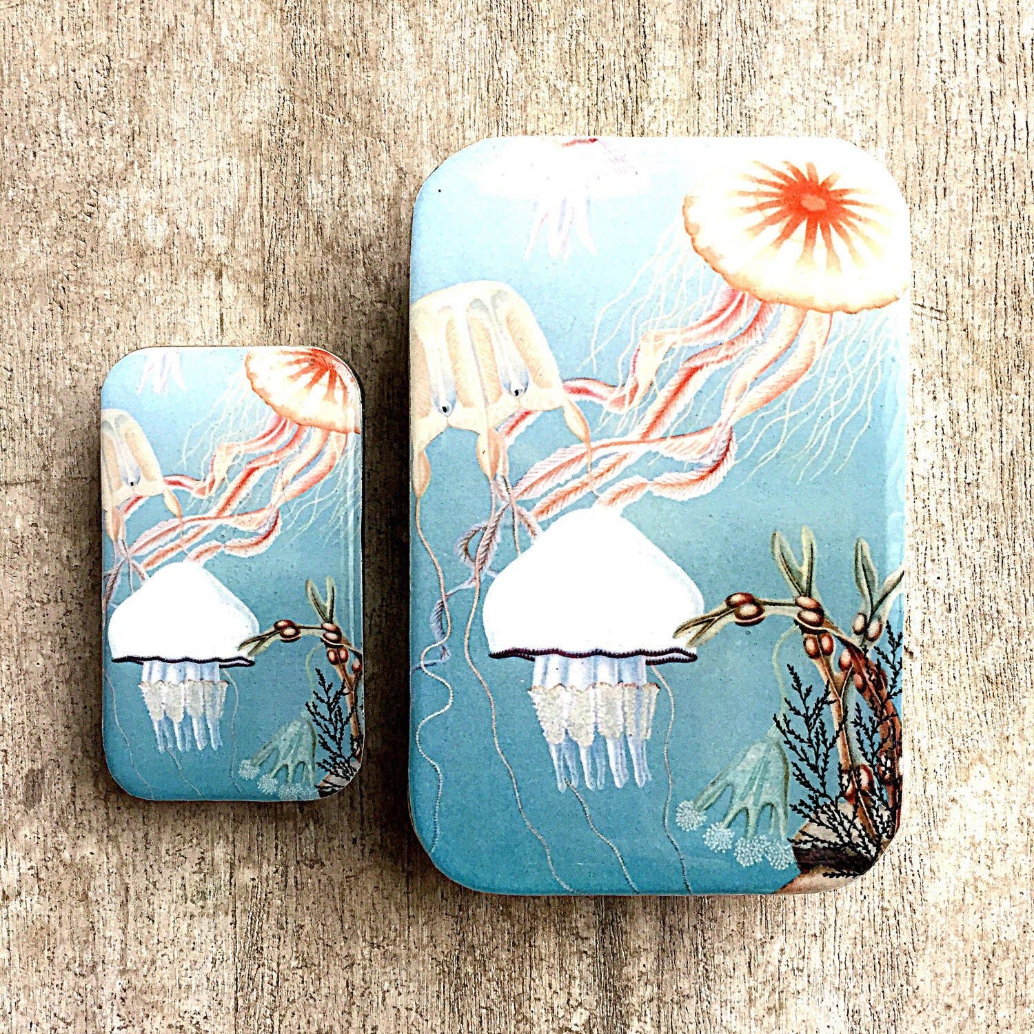 Jelly Fish Storage Tin - Out of the Blue