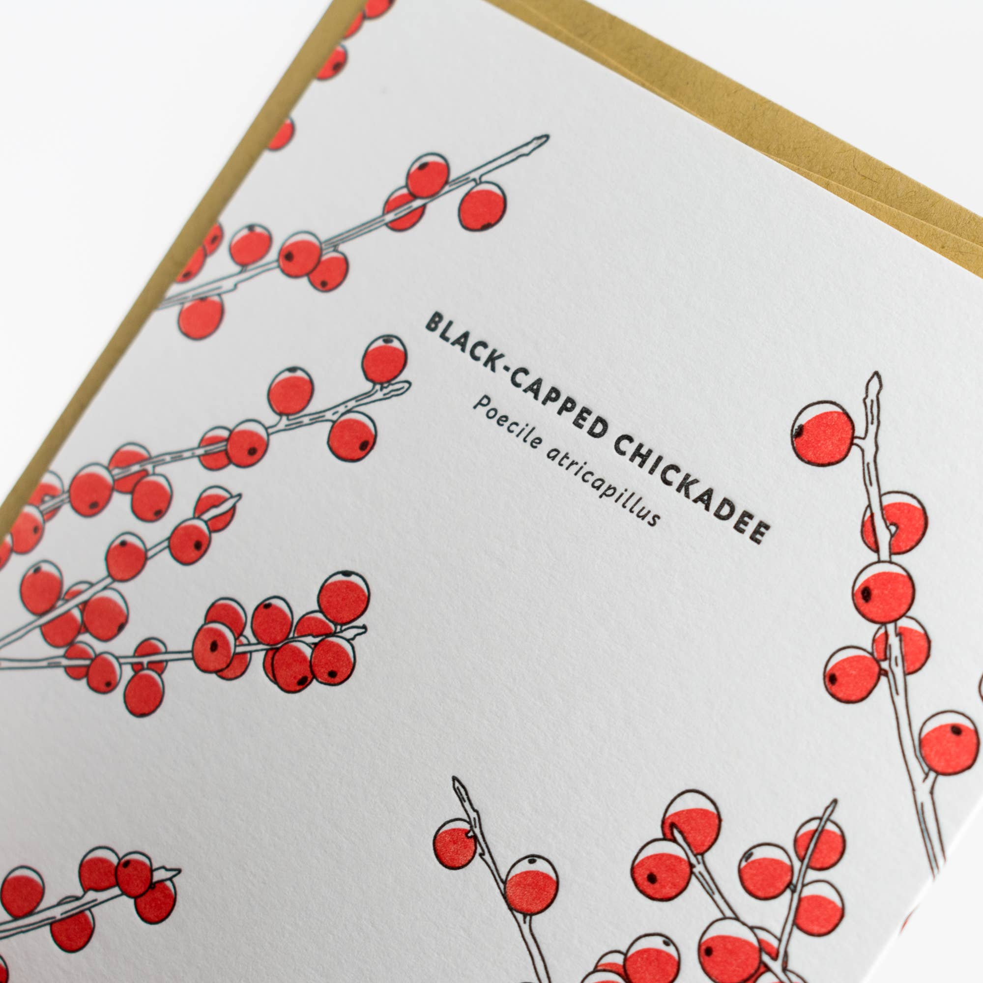 Black-capped Chickadee Card - Out of the Blue