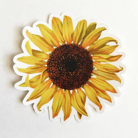 Sunflower Sticker - Out of the Blue