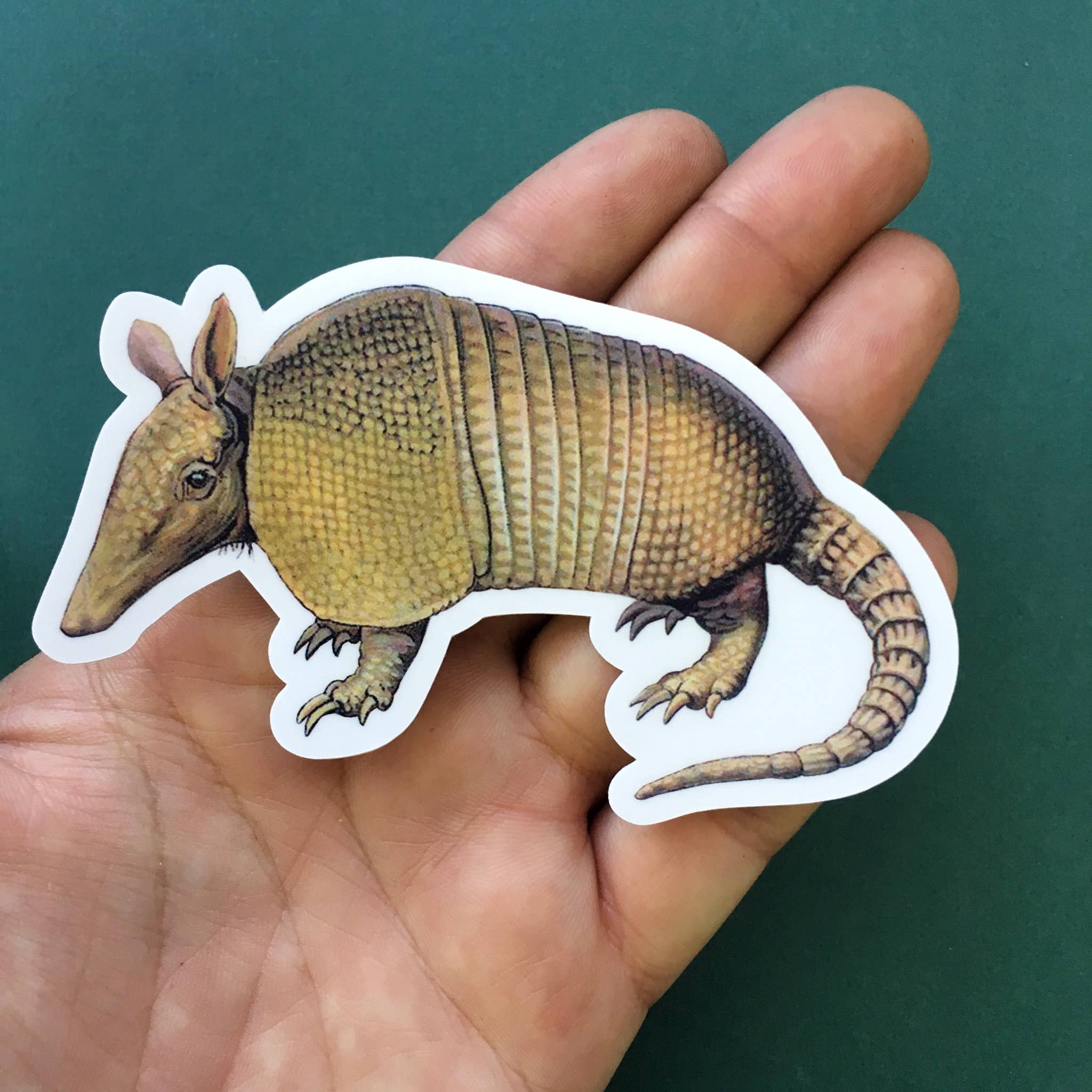 Vintage Armadillo Sticker - Out of the Blue