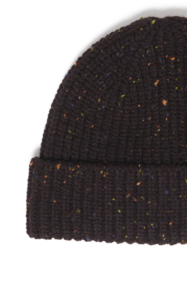 Chicory Beanie