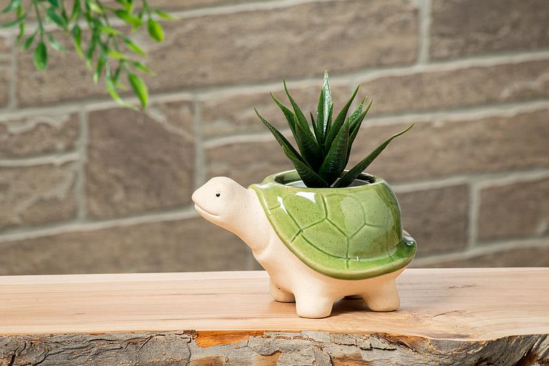 Small Turtle Planter - Out of the Blue