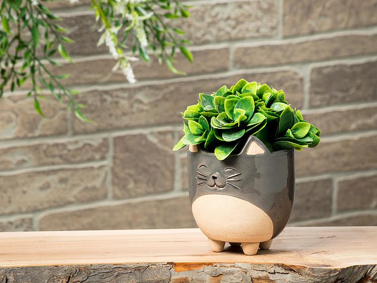 Cat Planter - Out of the Blue