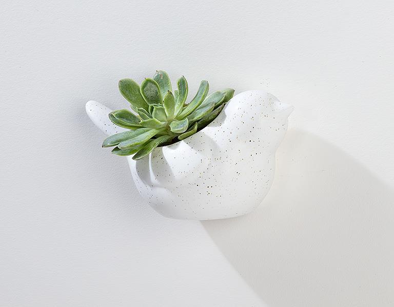 Bird Wall Planter - Out of the Blue