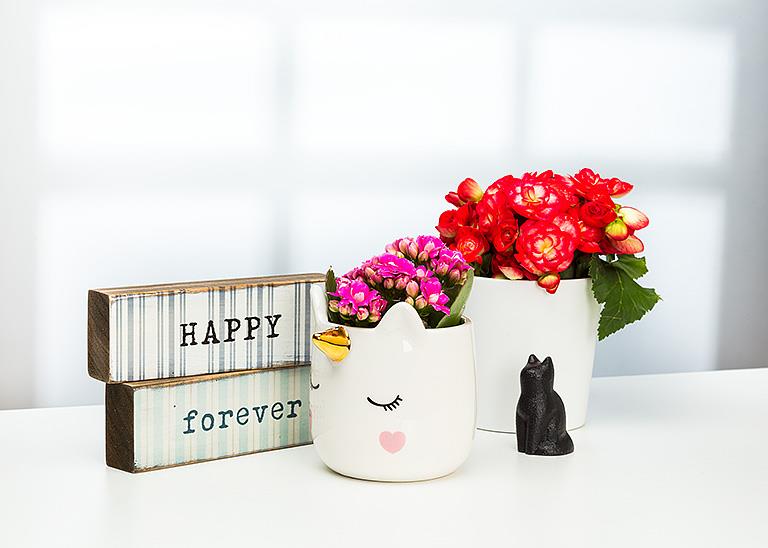 Cat Figures - Out of the Blue