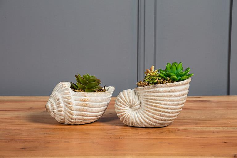 Shell Planters - Out of the Blue