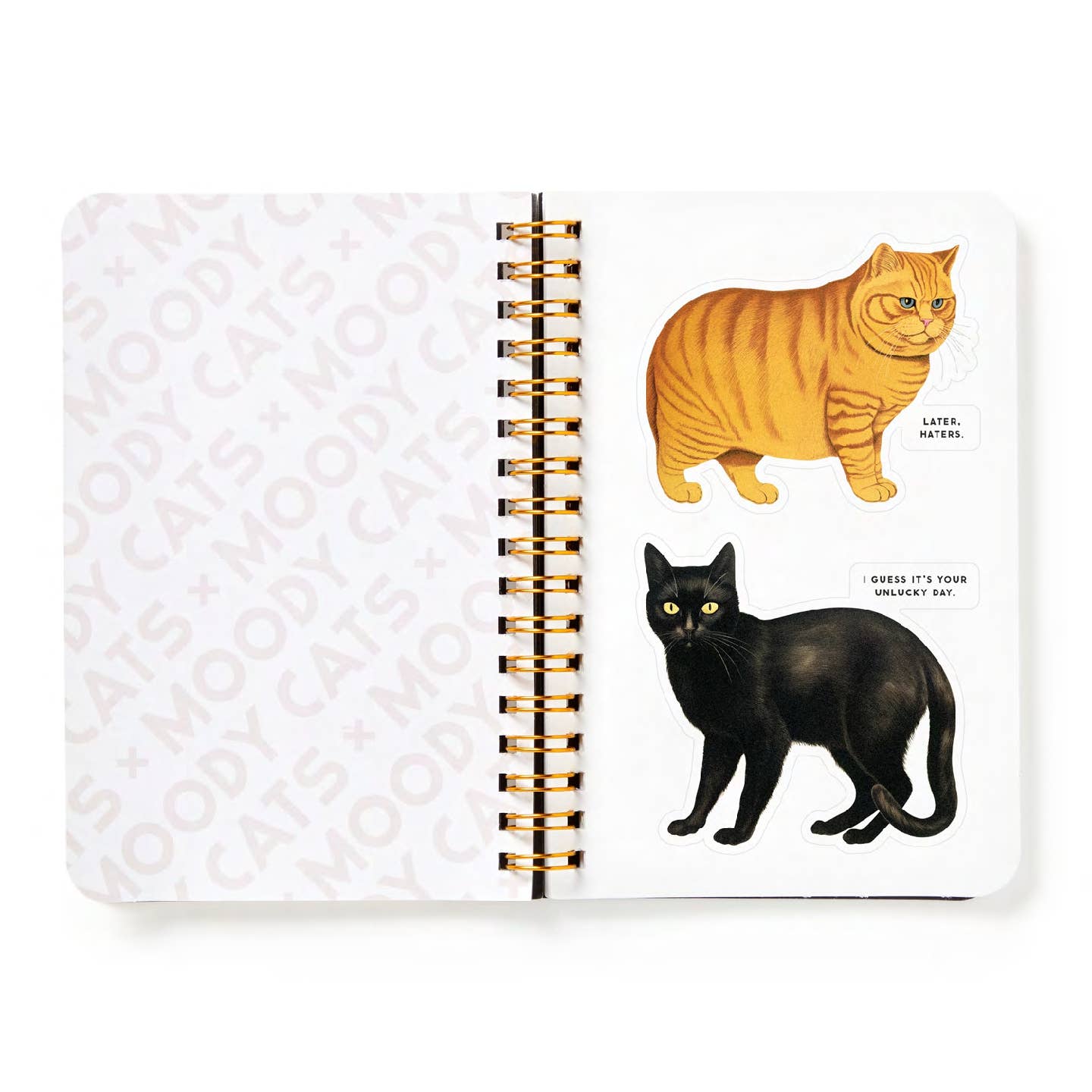 Moody Cats Sticker Book - Out of the Blue