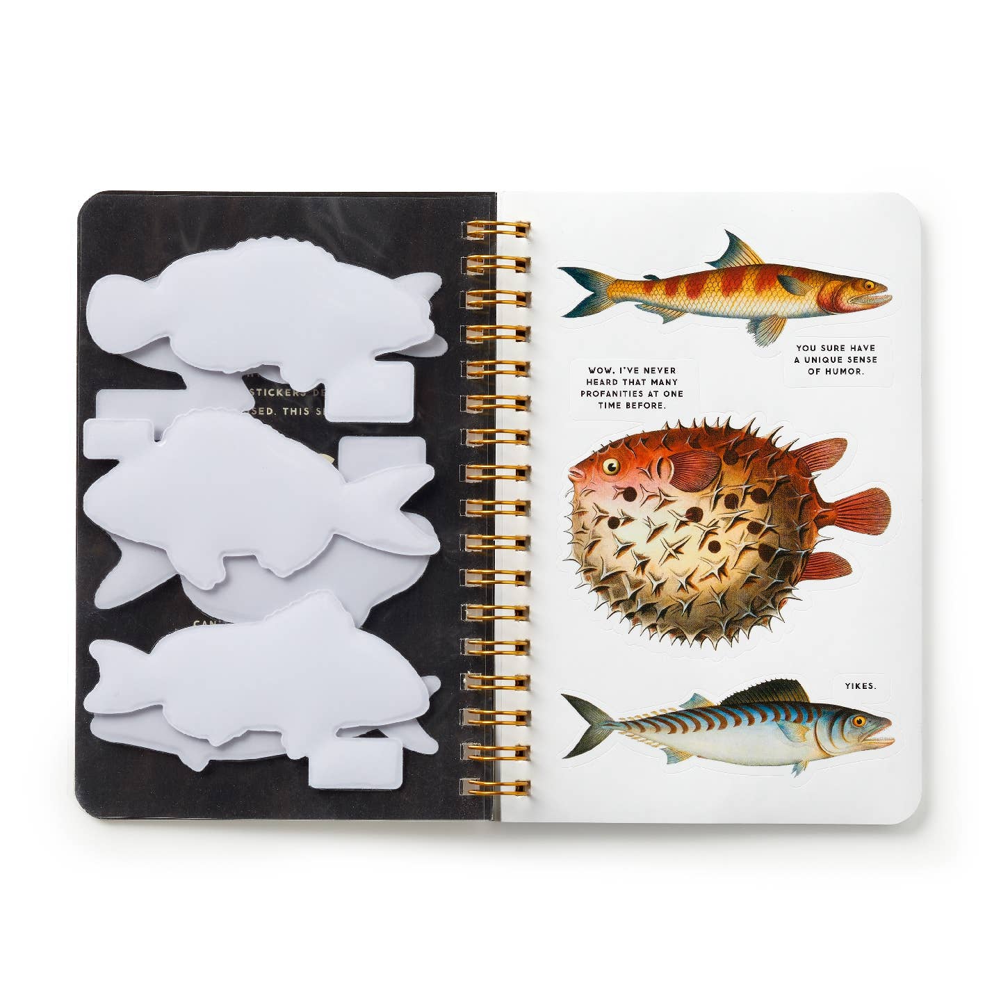 Judgy Fish Sticker Book - Out of the Blue