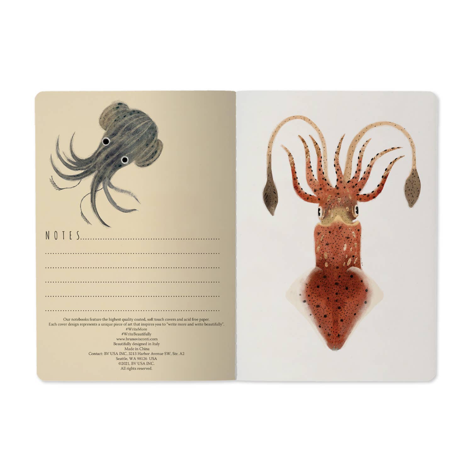 Deep Sea Notebook - Out of the Blue