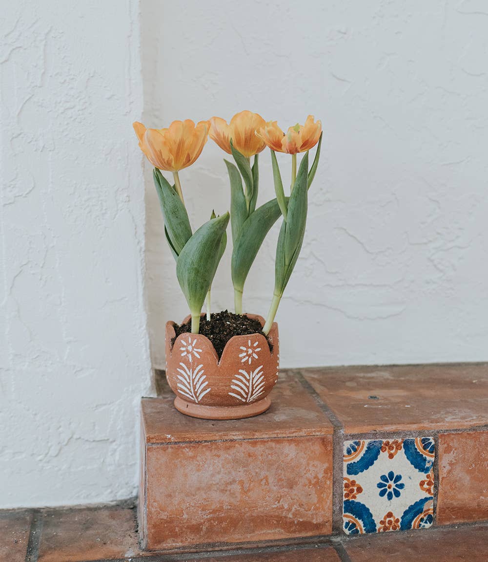 Petals Planter