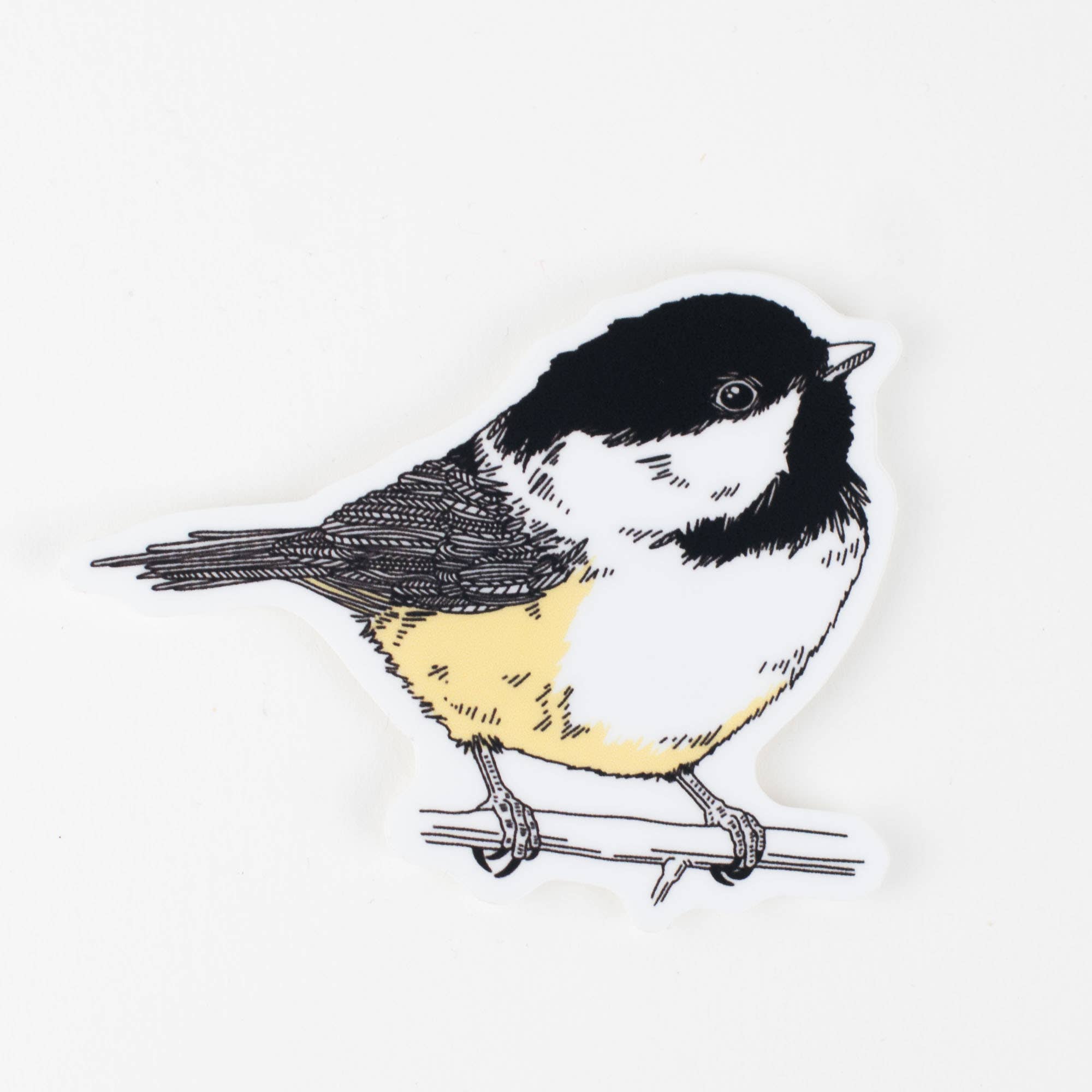 Sticker: Chickadee - Out of the Blue