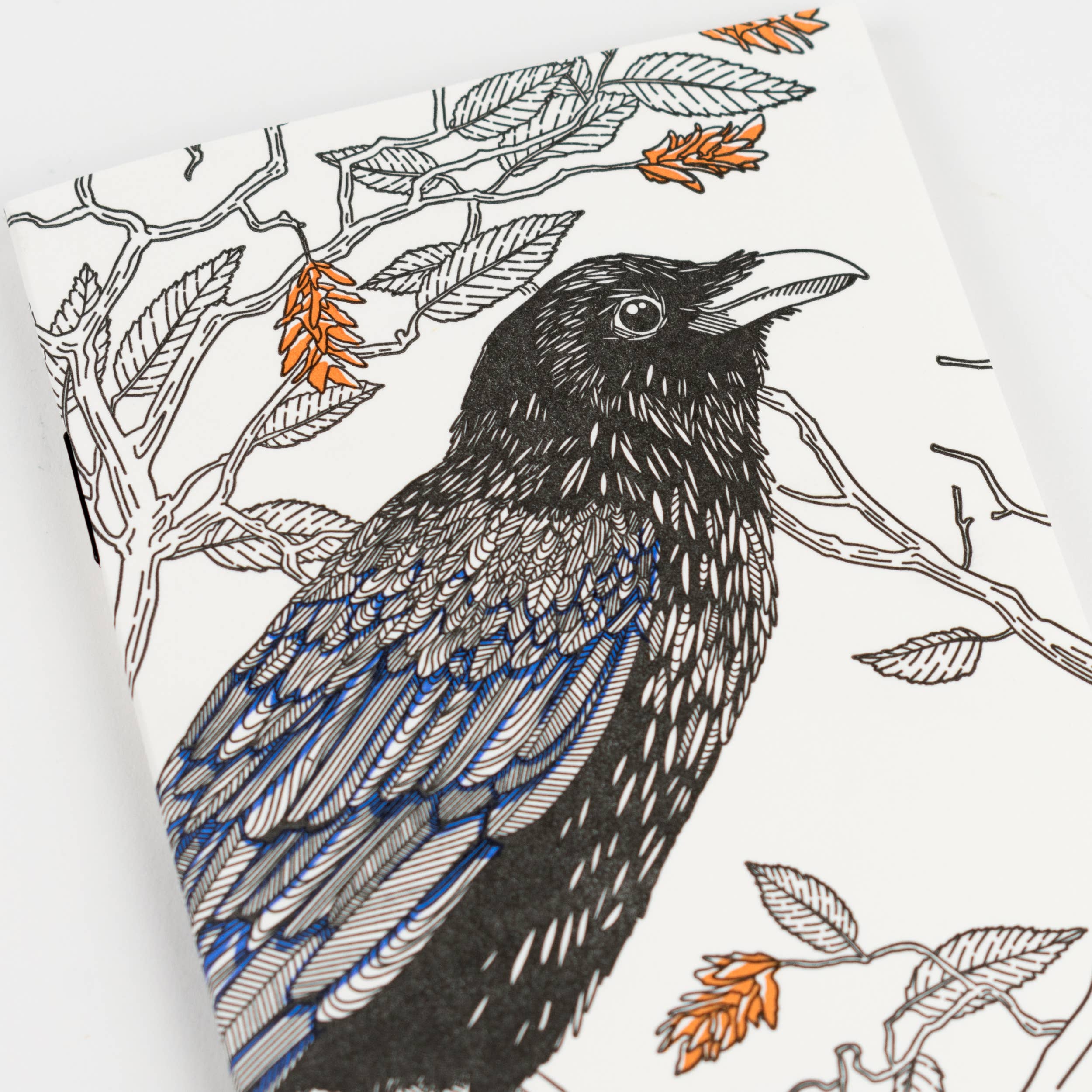 Common Raven Pocket Notebook - West Coast Birds - Out of the Blue