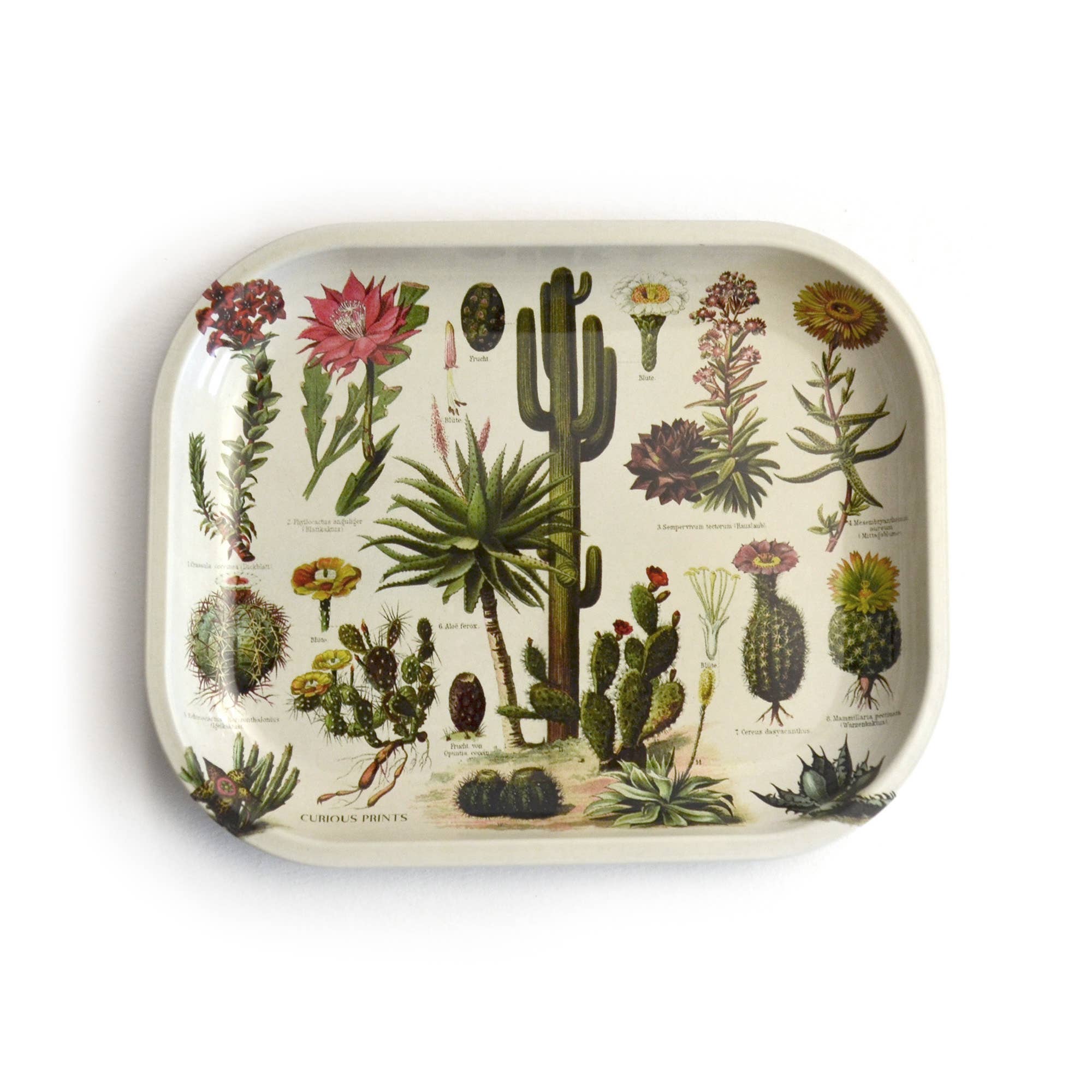 Vintage Cacti Dish