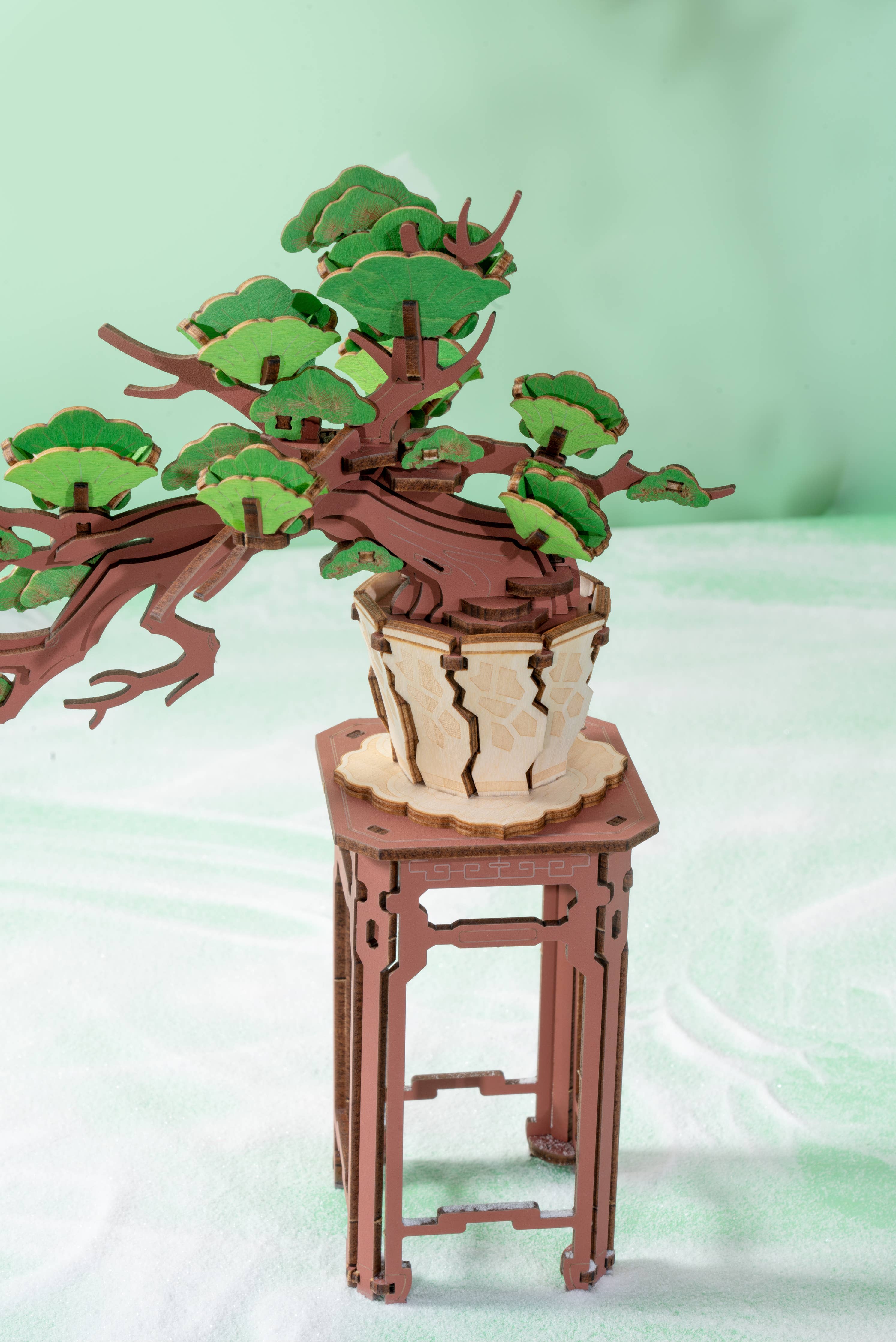 Modern Wooden Puzzle: Evergreen Pine Bonsai - Out of the Blue