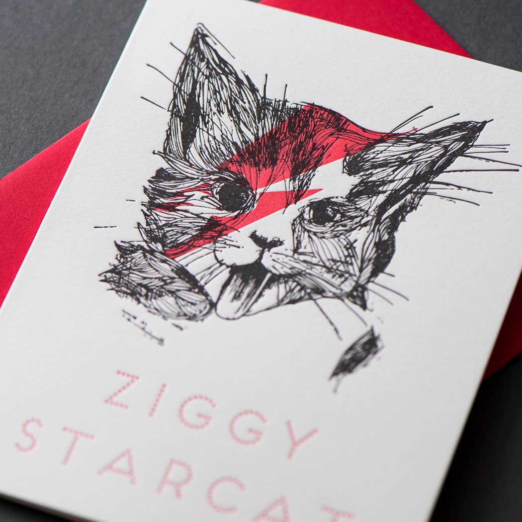Ziggy Star Cat Card - Out of the Blue