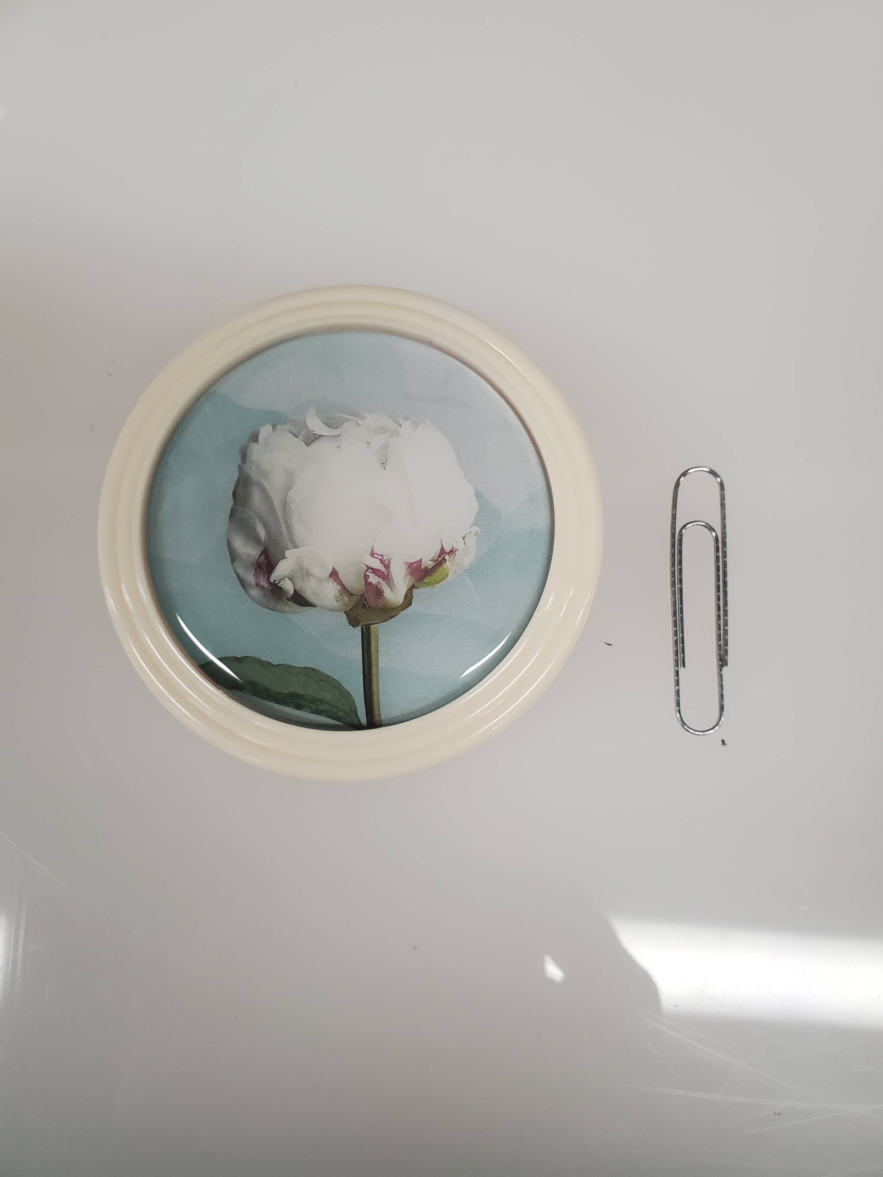 Single Rose Trinket Box - Out of the Blue