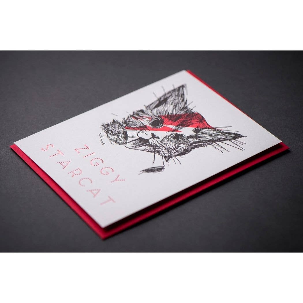 Ziggy Star Cat Card - Out of the Blue