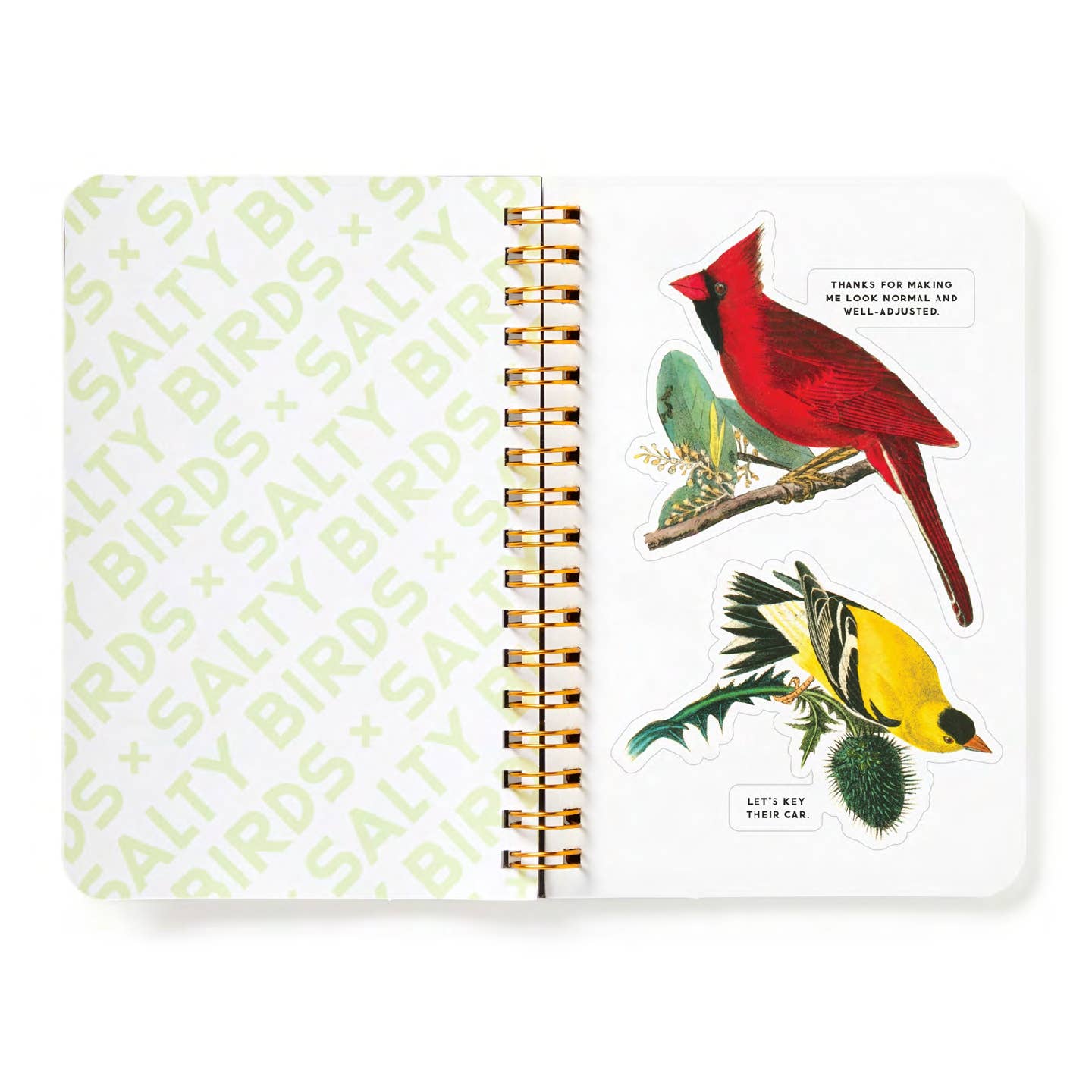Salty Birds Sticker Book - Out of the Blue