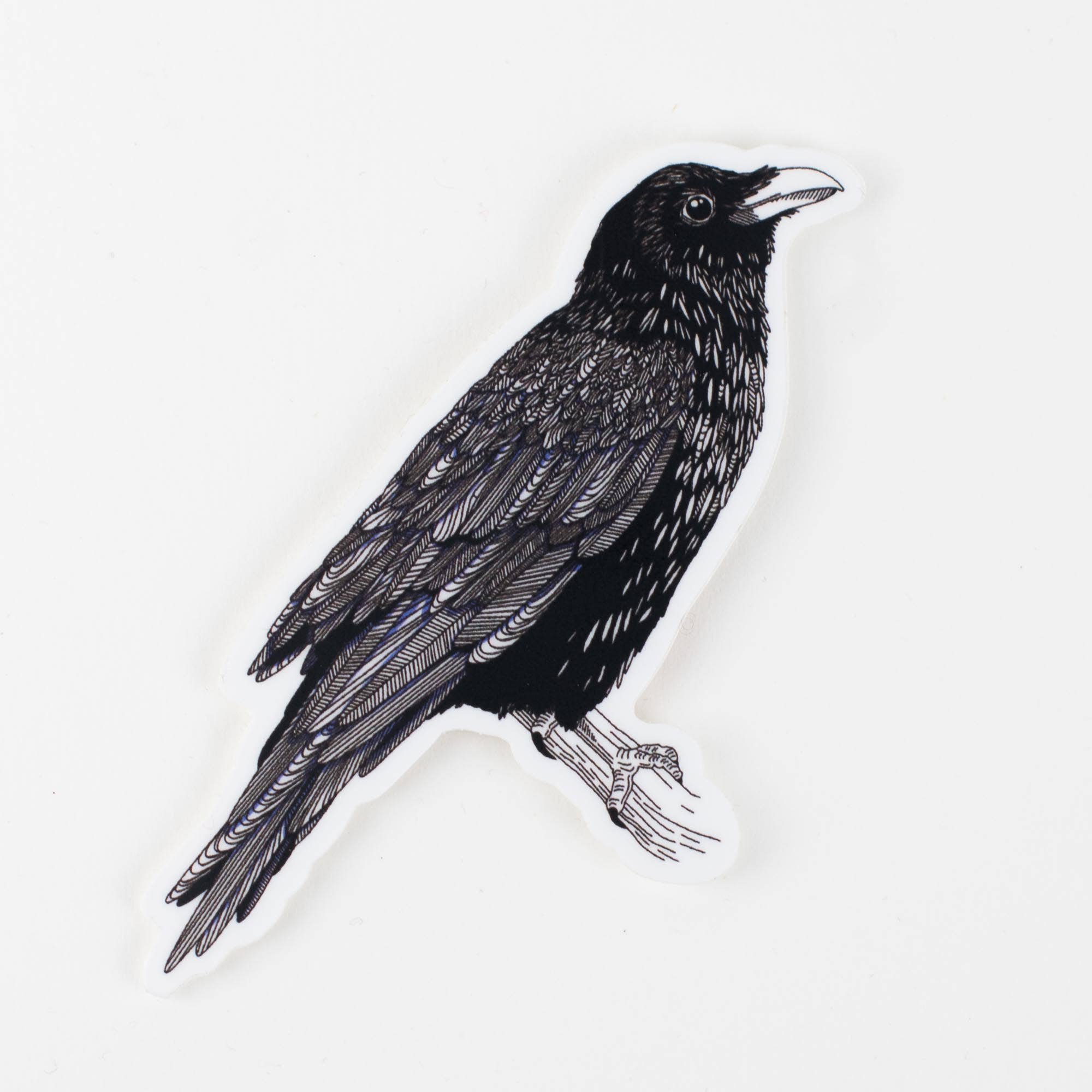 Sticker: Raven - Out of the Blue