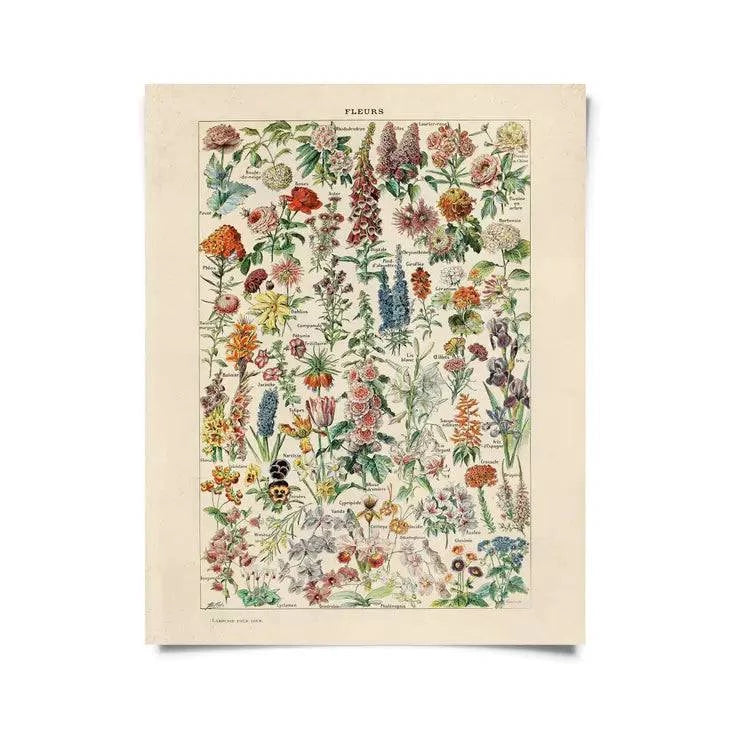 Botanical Fleurs Print - Out of the Blue