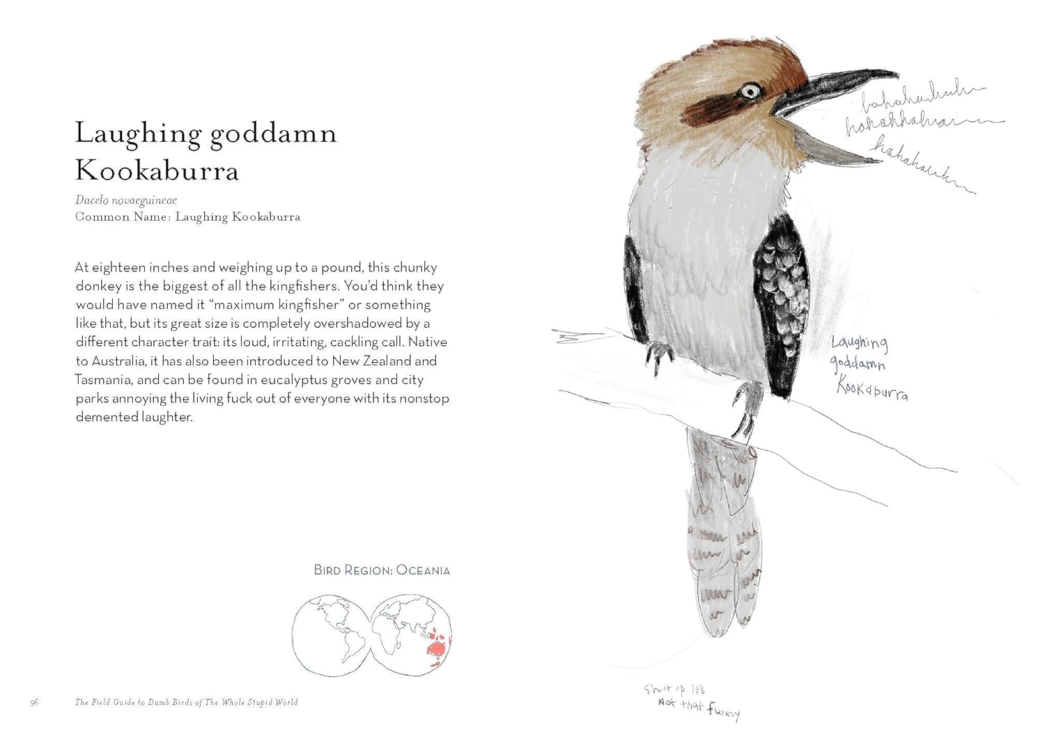 FIELD GUIDE TO DUMB BIRDS OF WHOLE STUPID WORLD - Out of the Blue