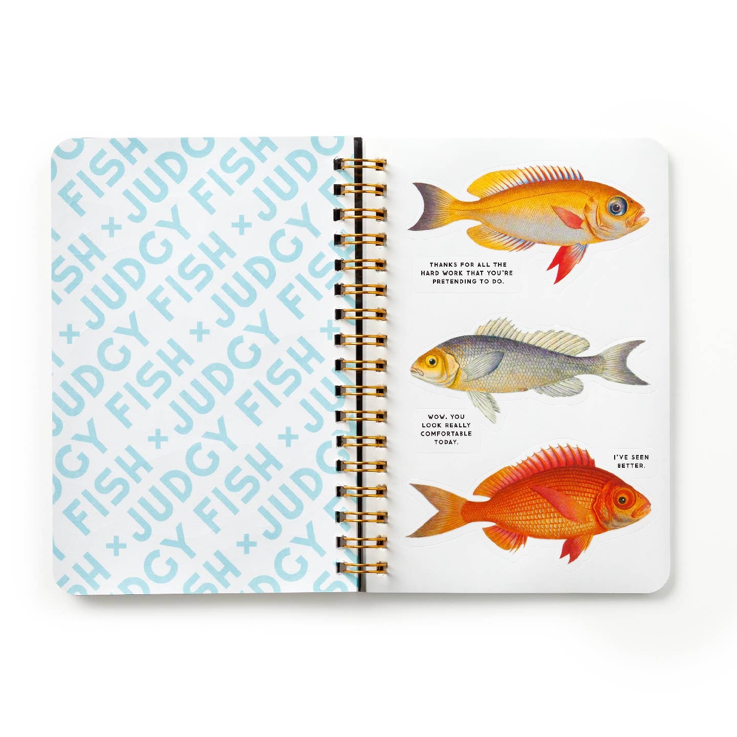 Judgy Fish Sticker Book - Out of the Blue