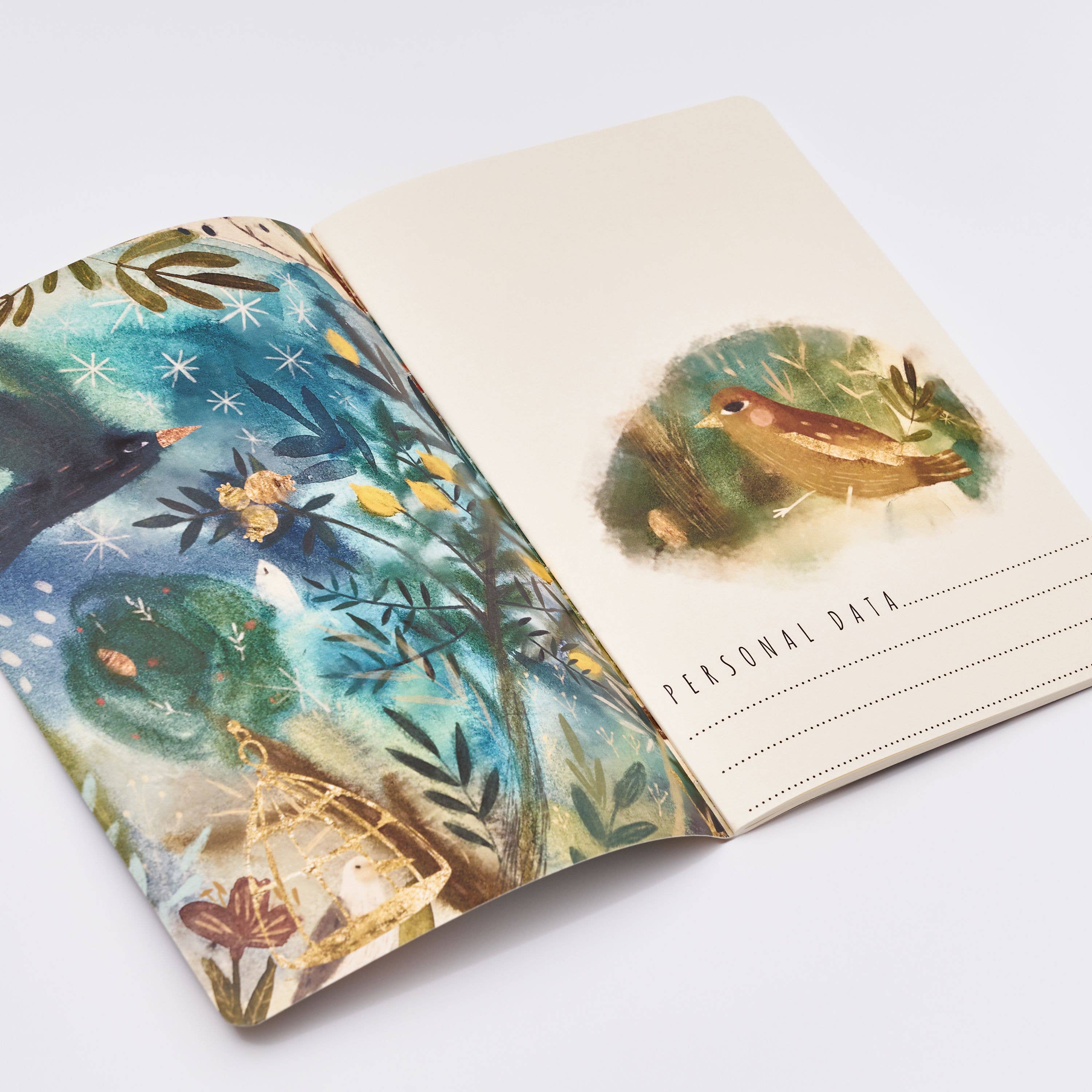 Roman Murals Notebook - Out of the Blue