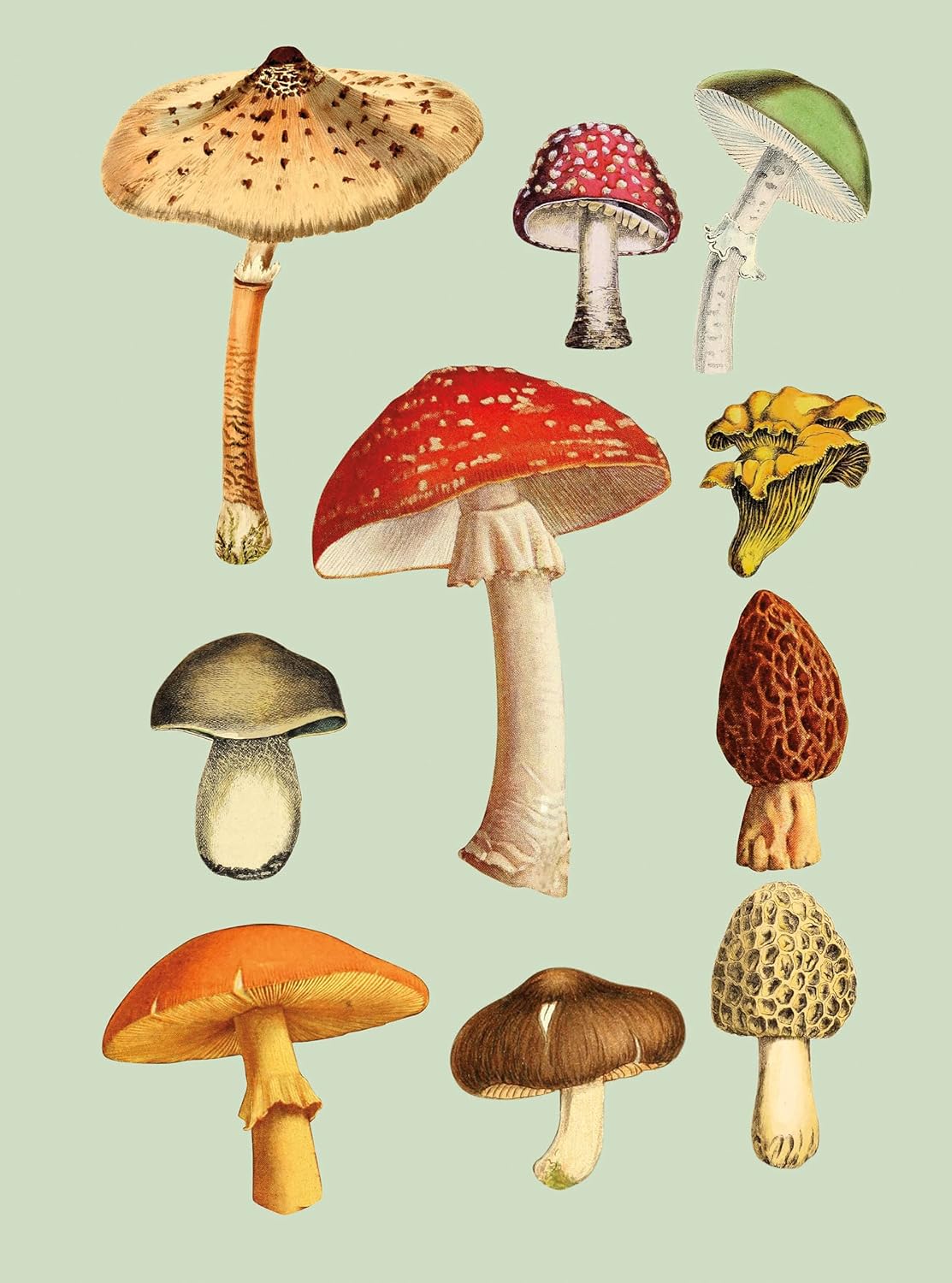 Antiquarian Sticker Book - Out of the Blue