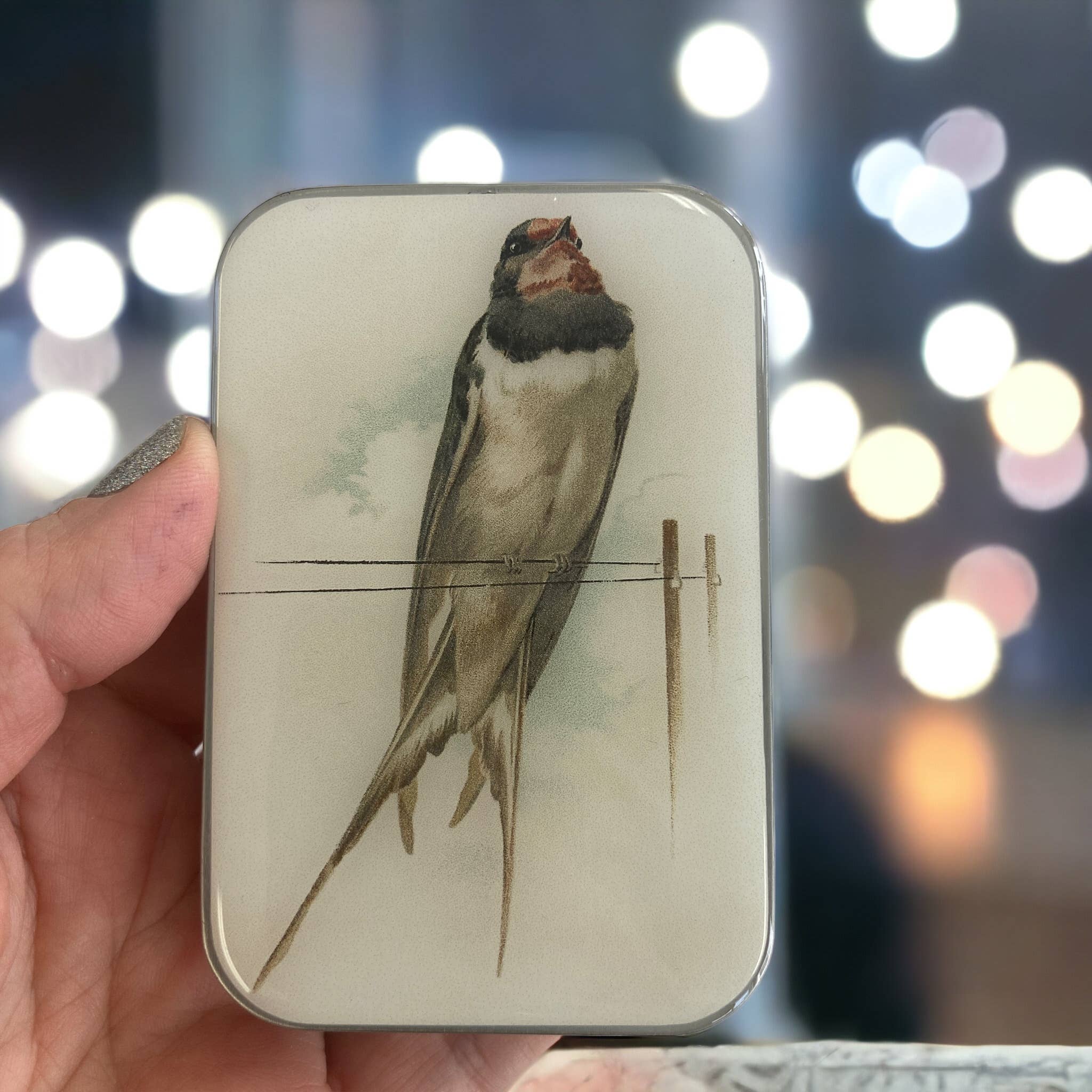 French Swallow Tin - Out of the Blue