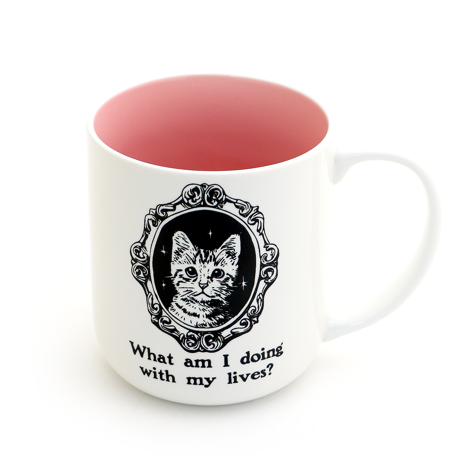 9 Lives, What am I Doing With my Lives cat mug, kitten, SIC