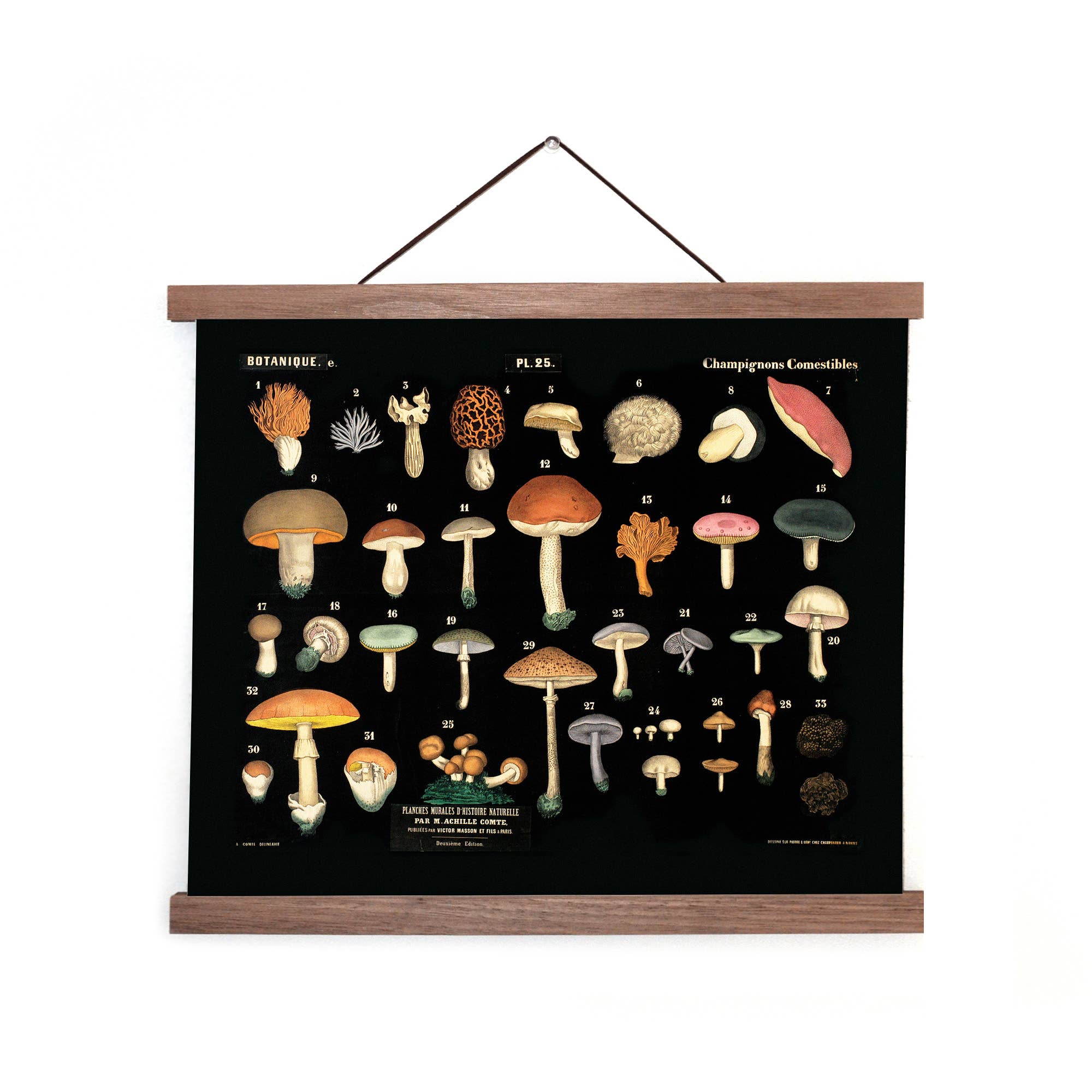 Vintage Black Mushroom Print - Out of the Blue