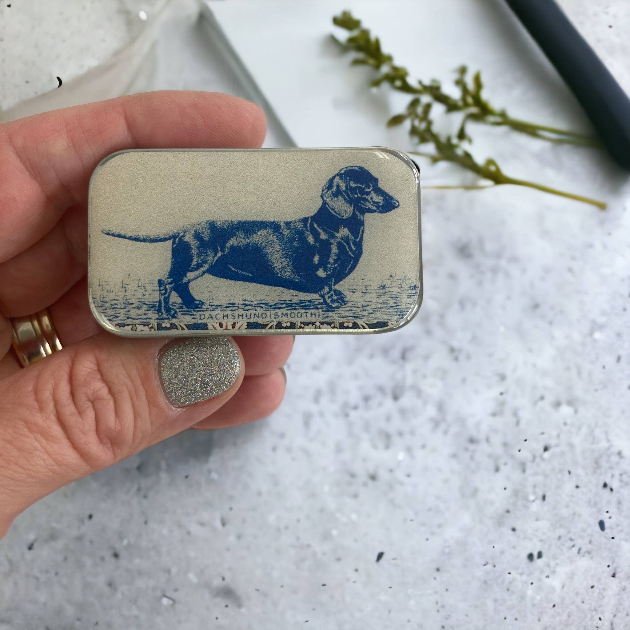 Dachshund Tin - Out of the Blue