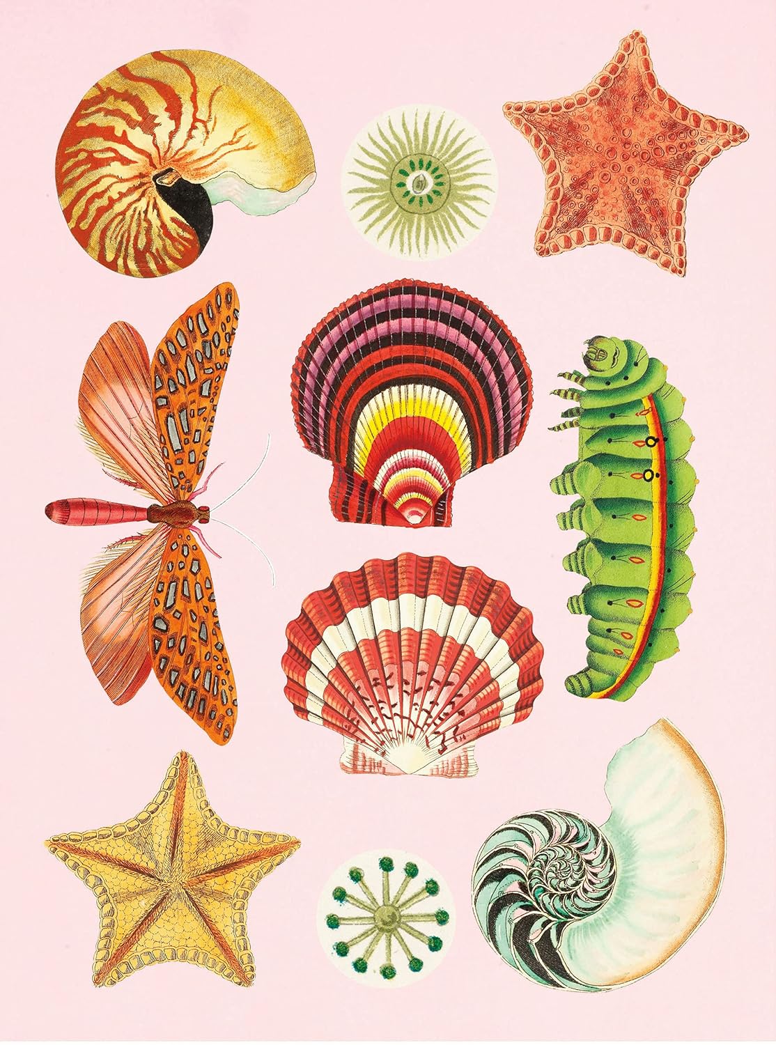 Antiquarian Sticker Book - Out of the Blue
