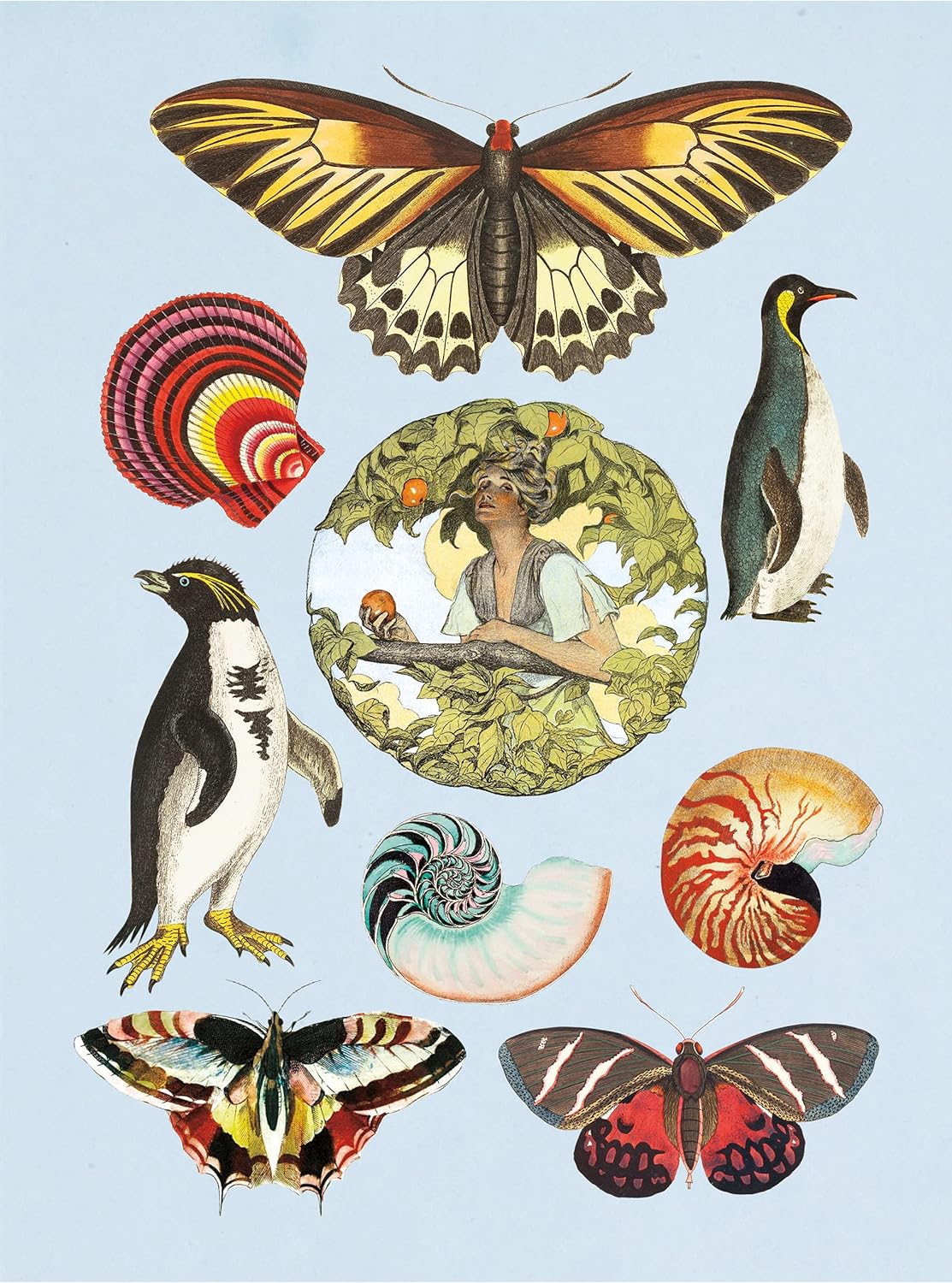 Antiquarian Sticker Book - Out of the Blue