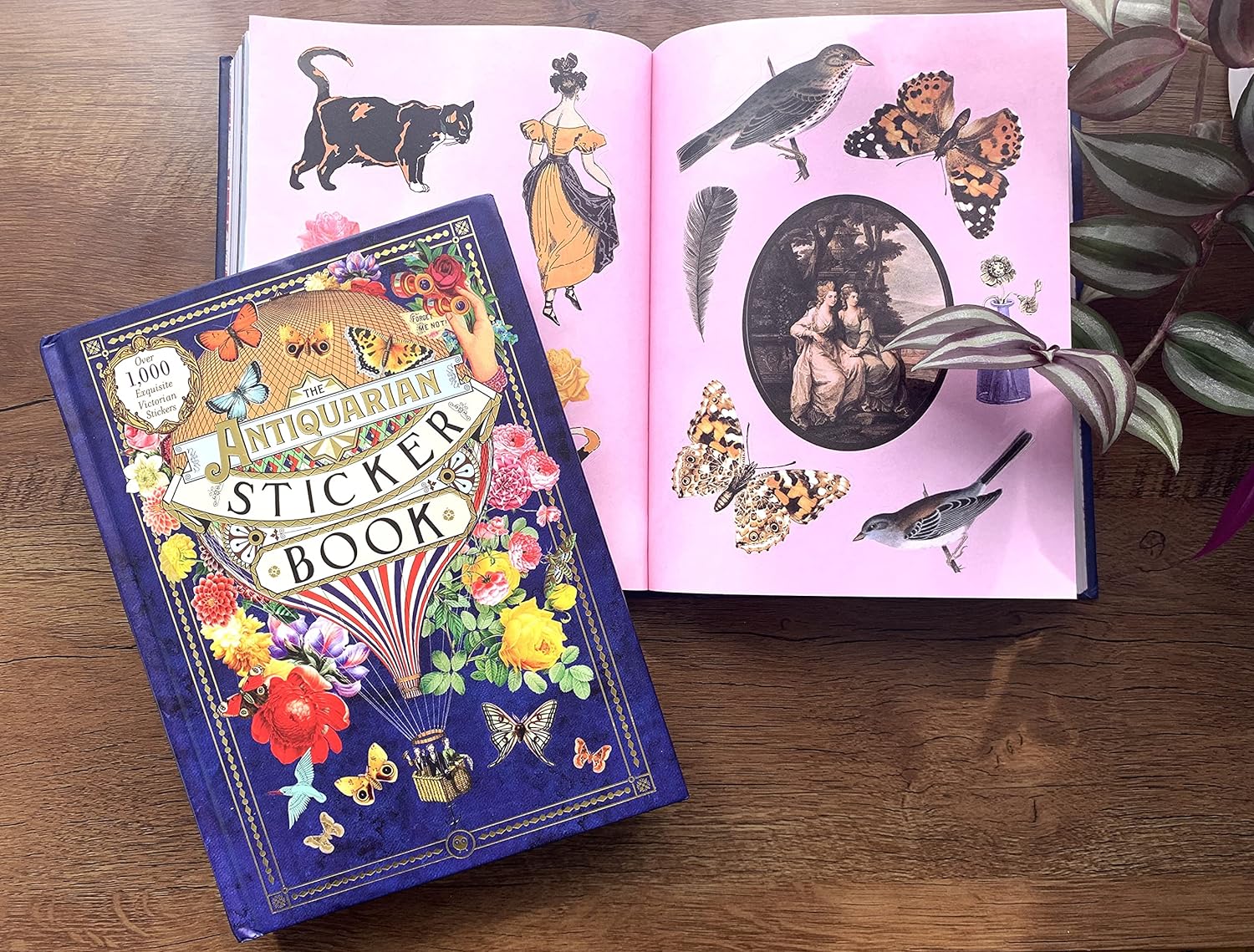 Antiquarian Sticker Book - Out of the Blue