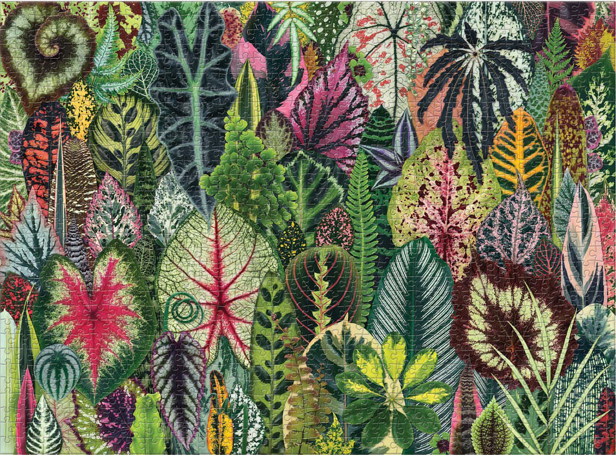 HOUSEPLANT JUNGLE Puzzle