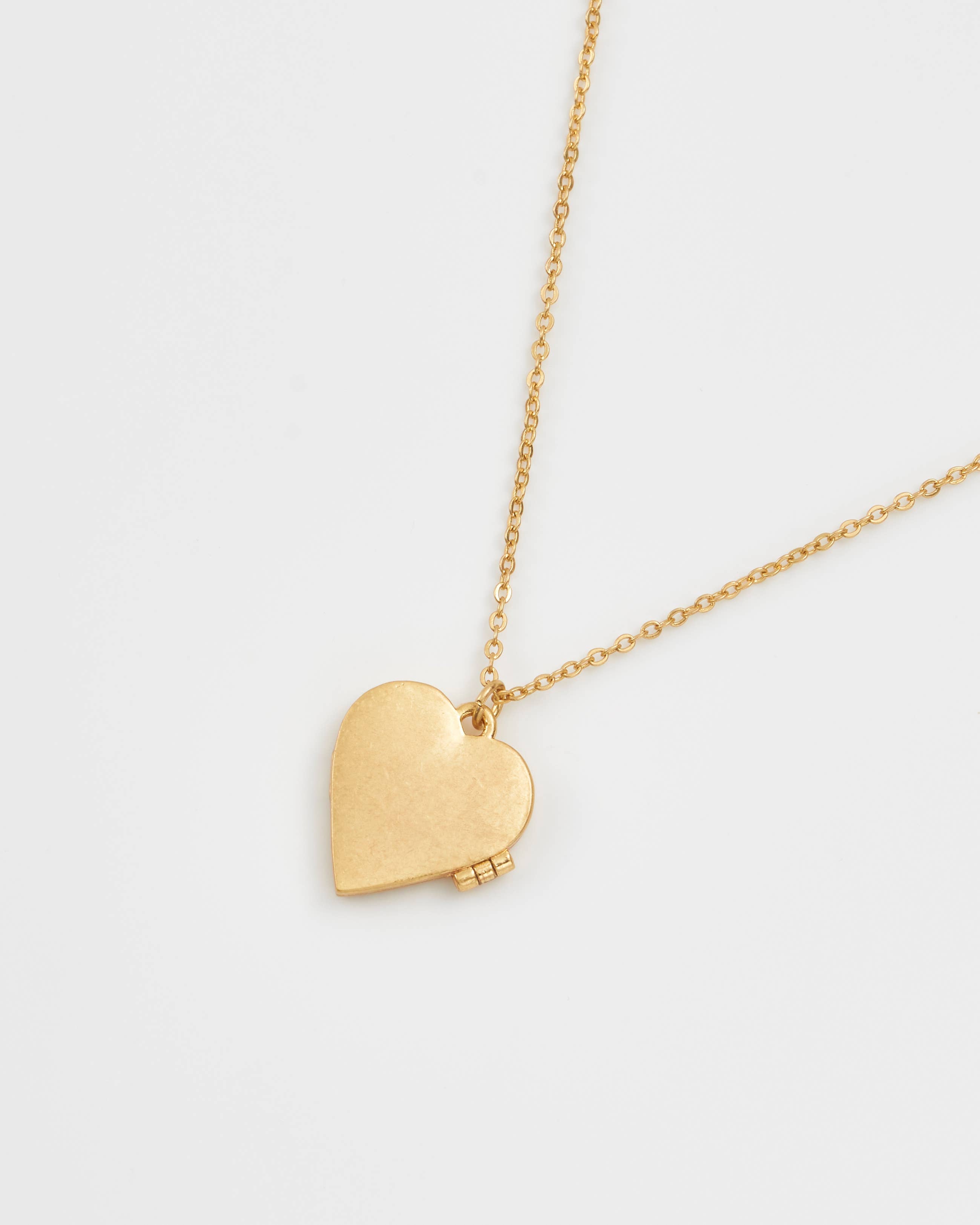 Swallow Locket