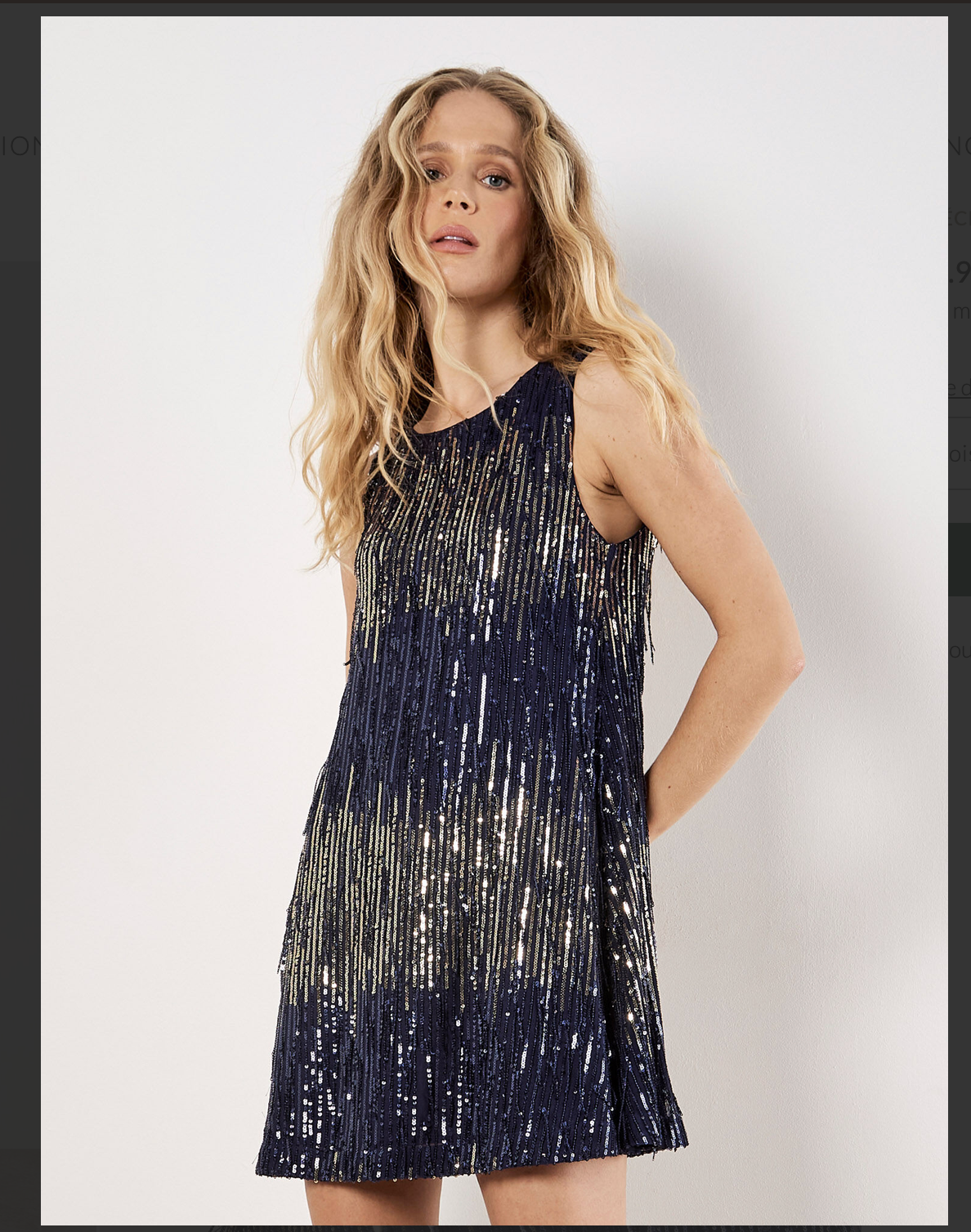 Sequin Swing Fringe Dress