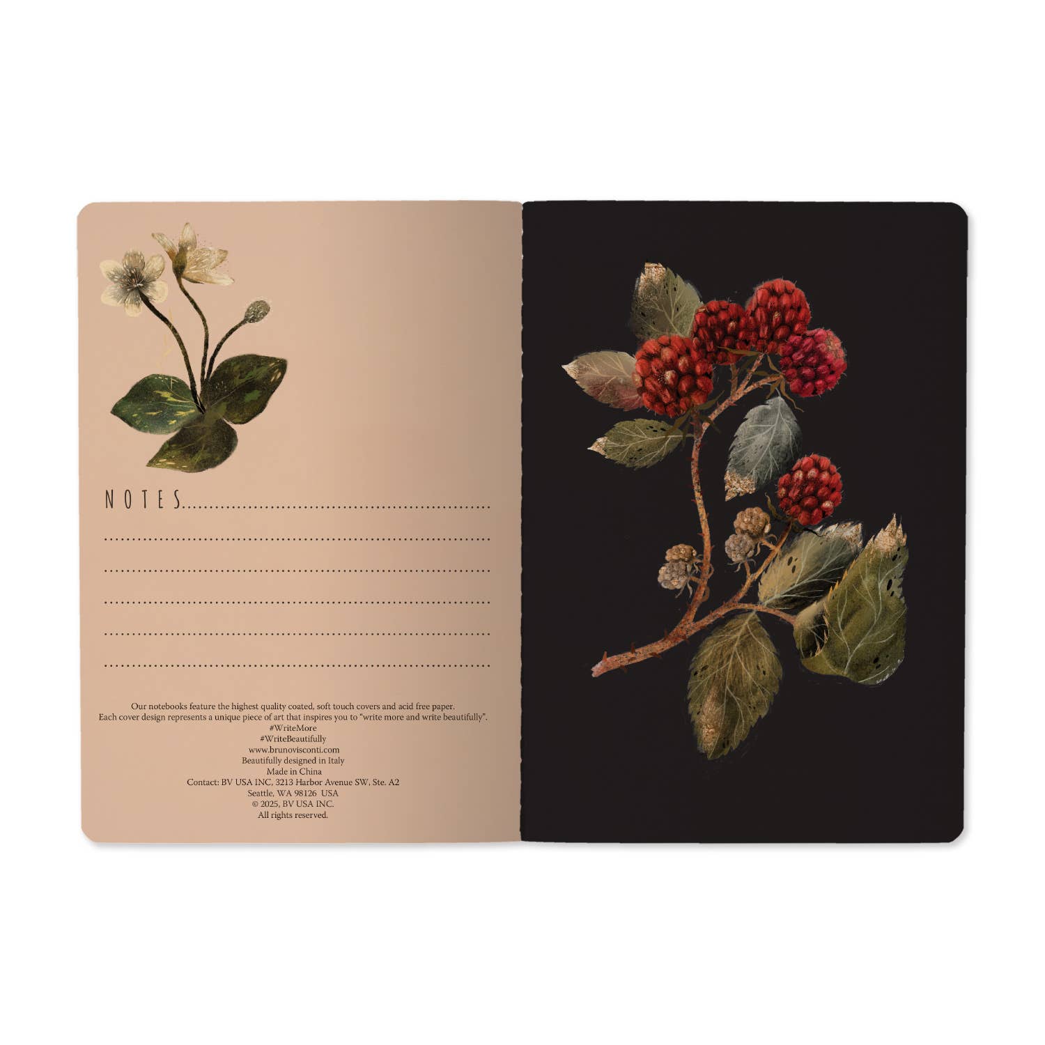 Forest Sparrows - Out of the Blue