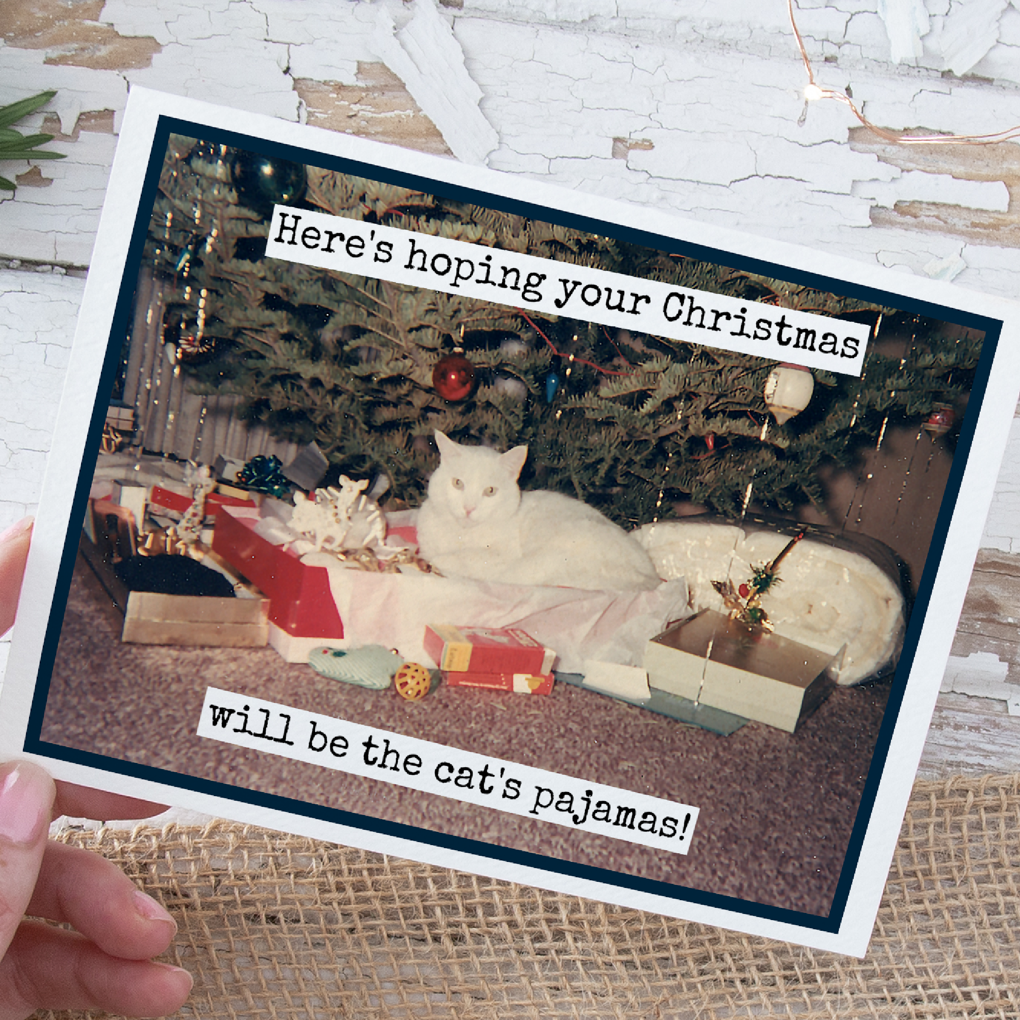 Funny Christmas Card. Hoping Christmas Cat's Pajamas. - Out of the Blue