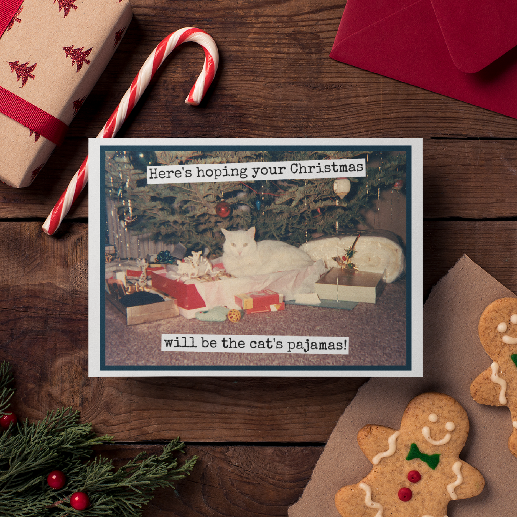 Funny Christmas Card. Hoping Christmas Cat's Pajamas. - Out of the Blue