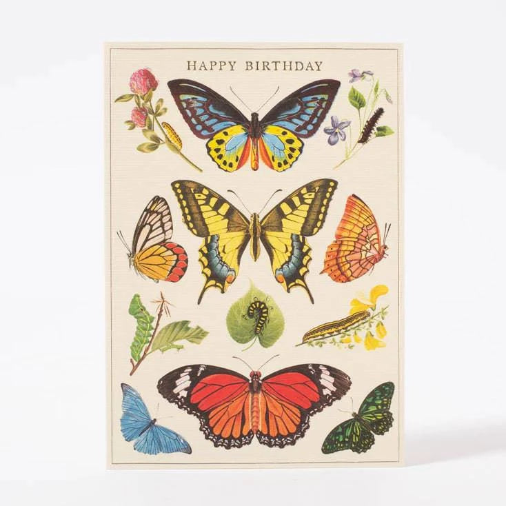 Happy Birthday Butterfly - Out of the Blue