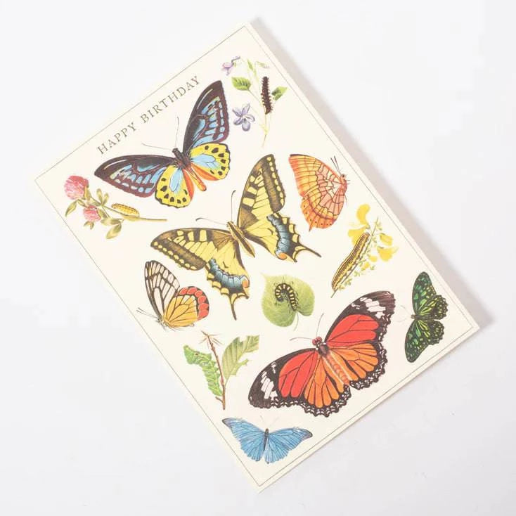 Happy Birthday Butterfly - Out of the Blue