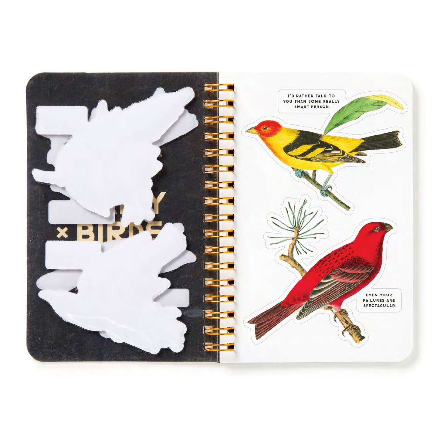 Salty Birds Sticker Book - Out of the Blue