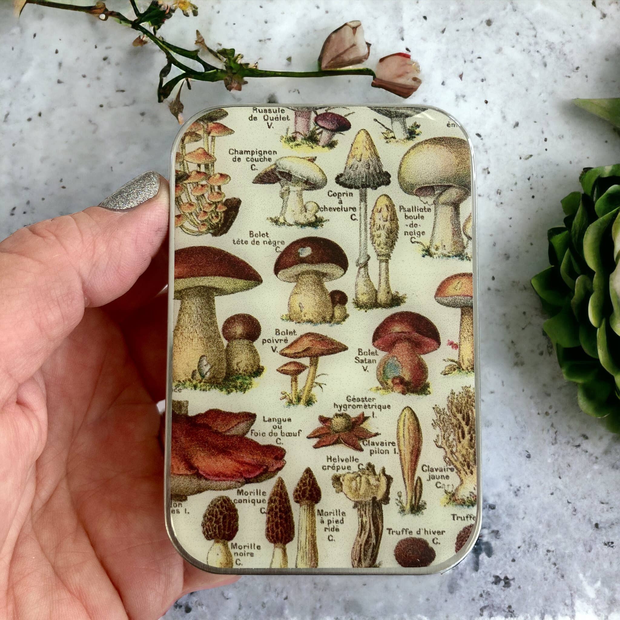 Mushroom Tin - Out of the Blue