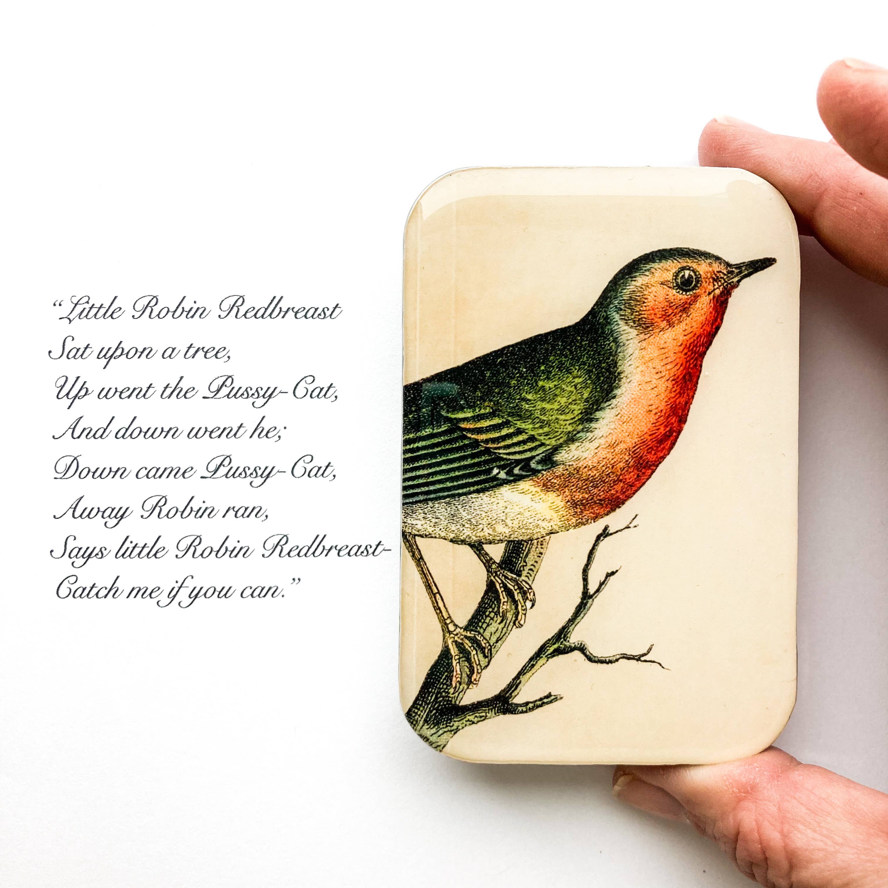 Robin Notions tin - Out of the Blue